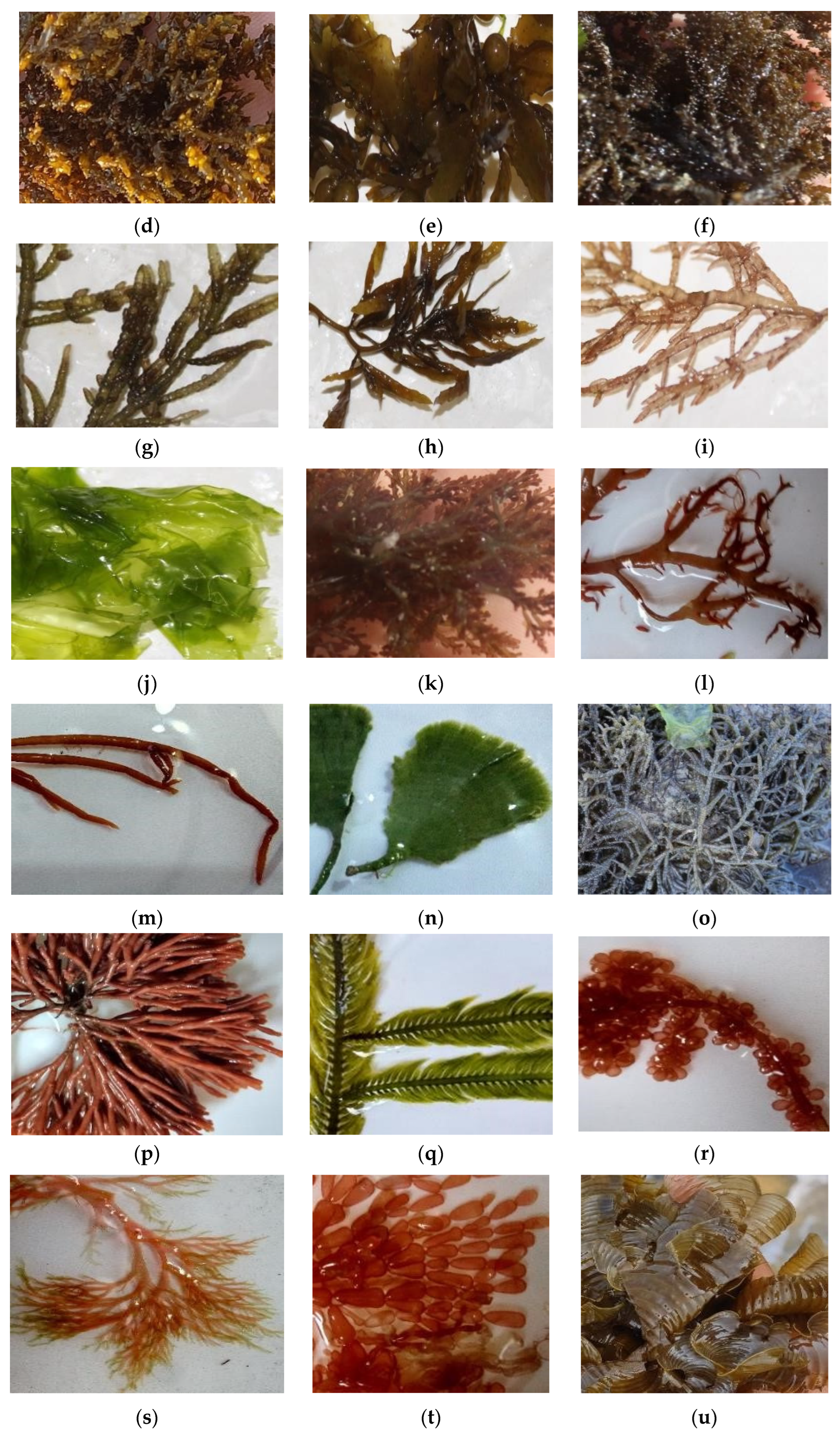 Applsci 12 11954 g001b Applsci 12 11954 g001b