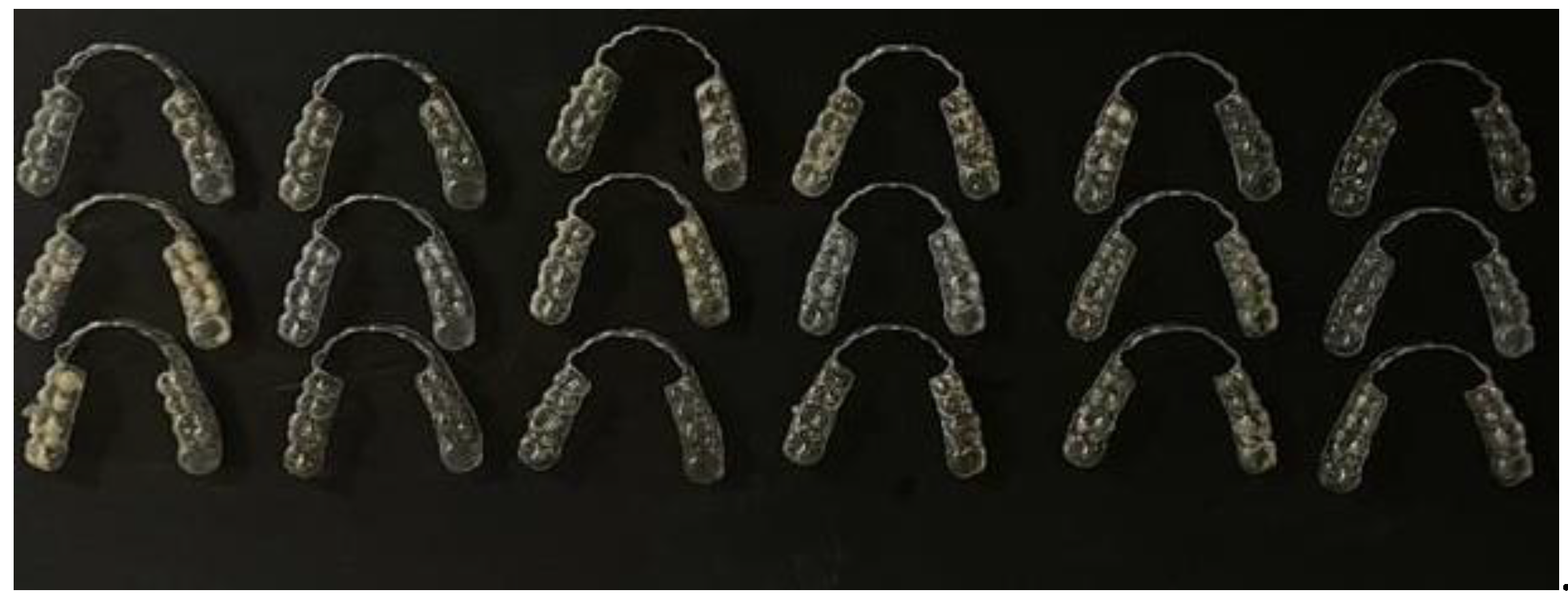 Applsci 12 11964 g003