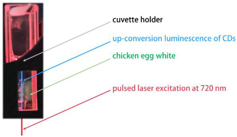 Applsci 12 12006 g009 Applsci 12 12006 g009