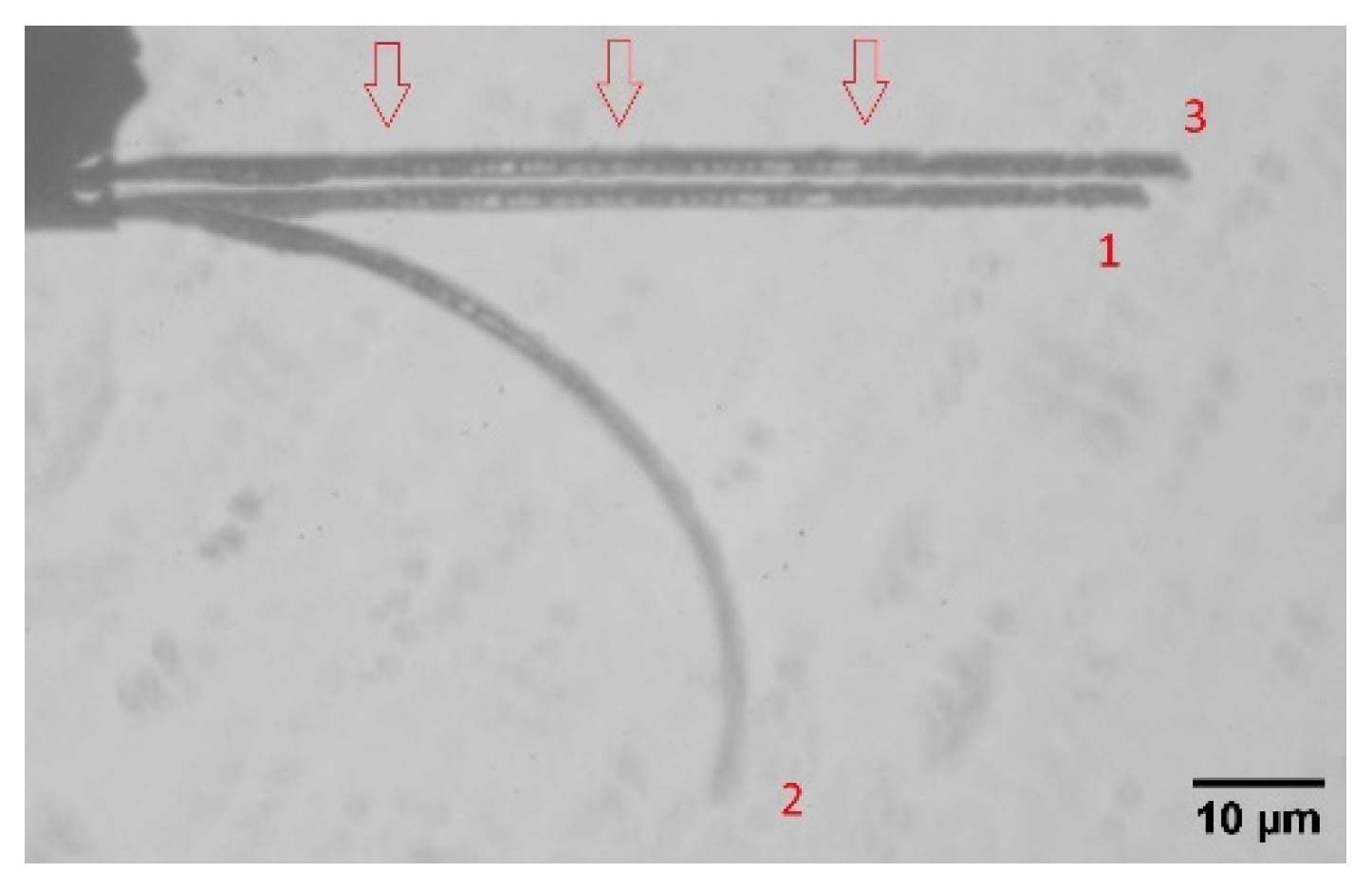 Applsci 12 12007 g003 Applsci 12 12007 g003