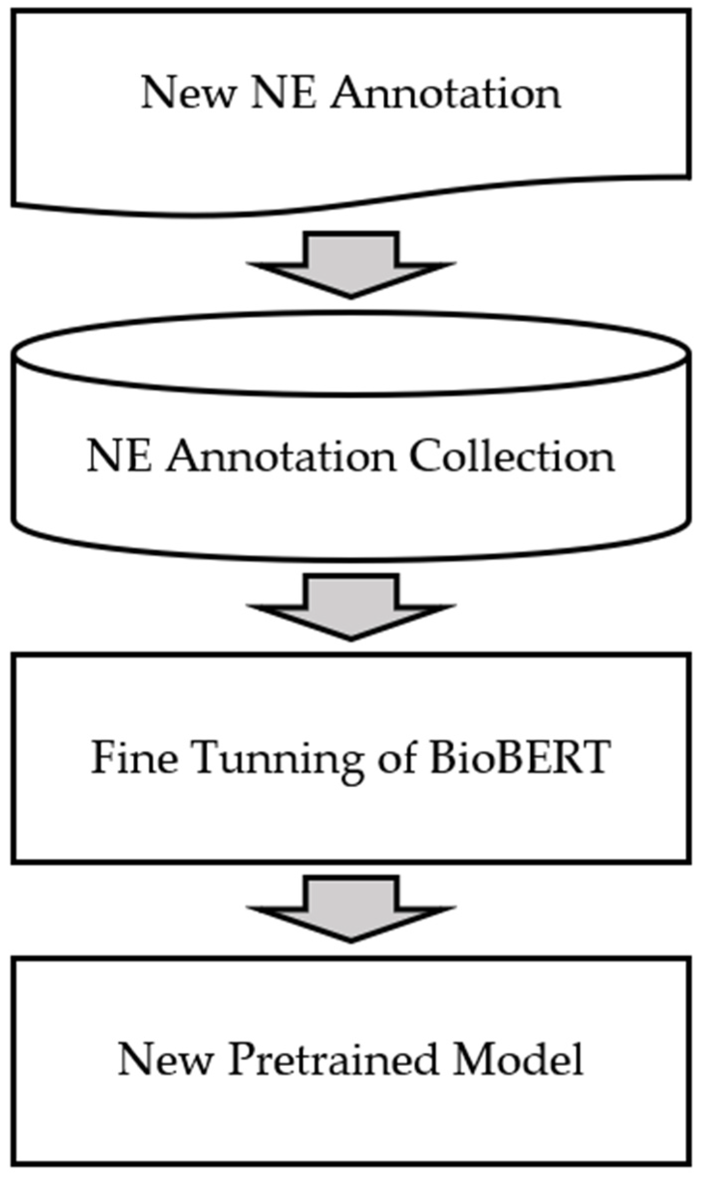 Biomedical named entity normalization via interaction-based