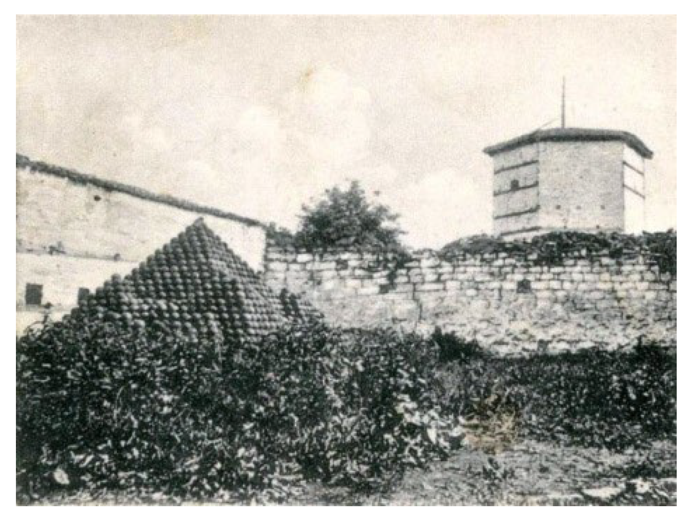 Applsci 12 12018 g008