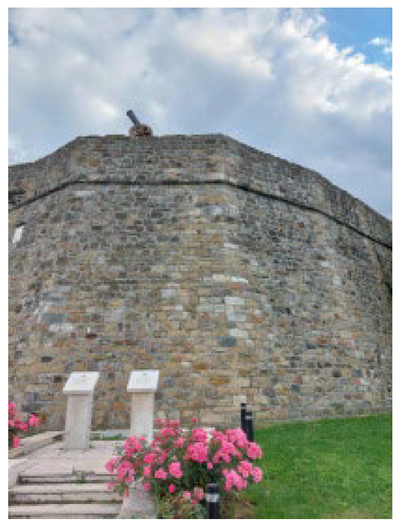 Applsci 12 12018 g018