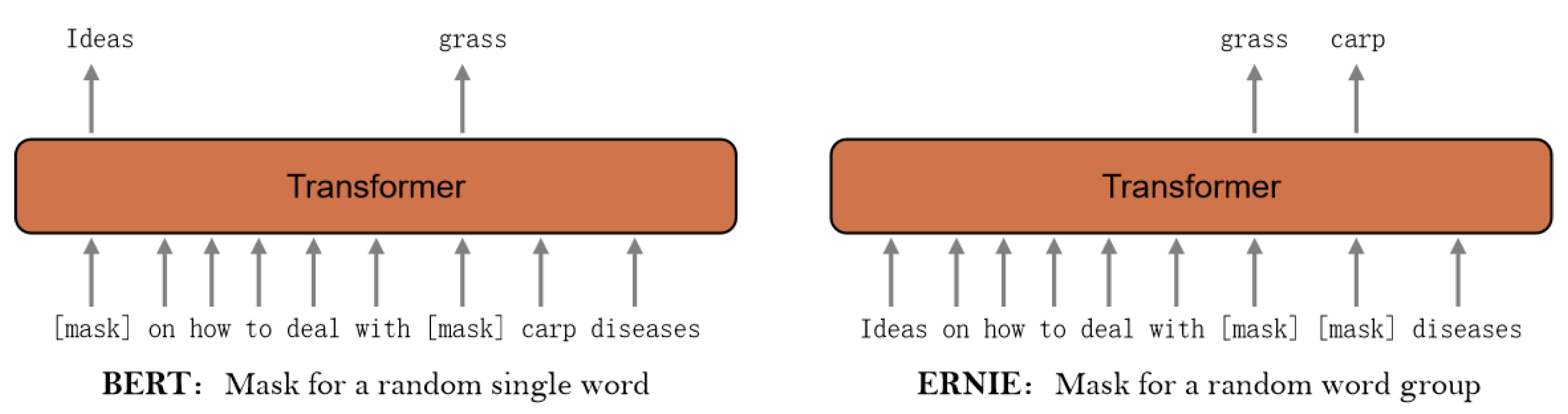 Applsci 12 12059 g001