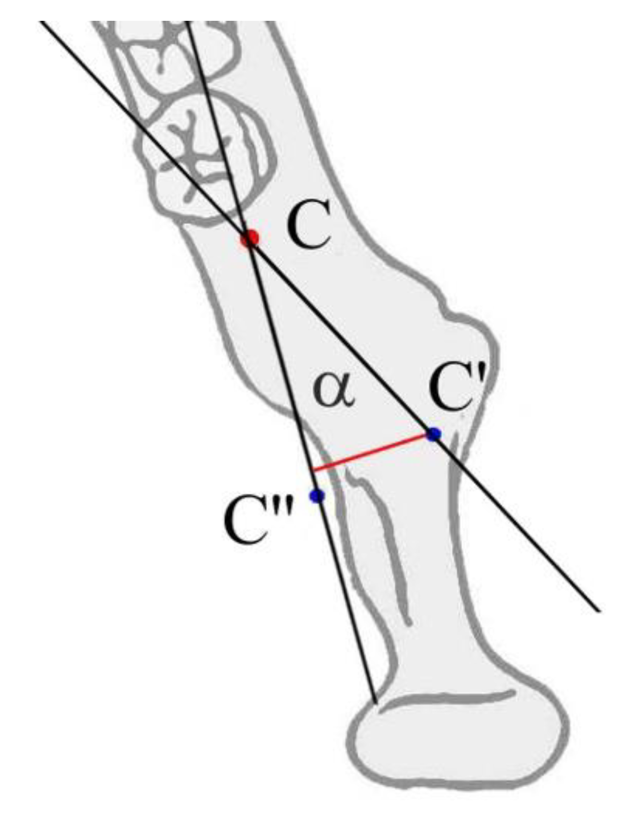 Applsci 12 12064 g004