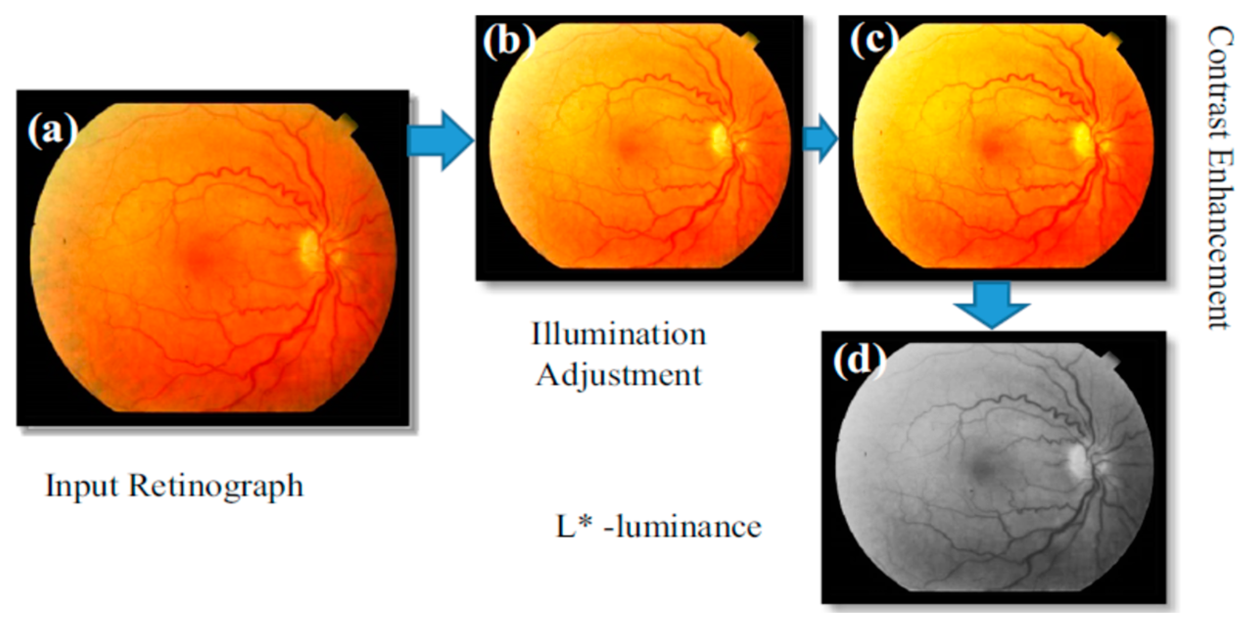 Applsci 12 12086 g003