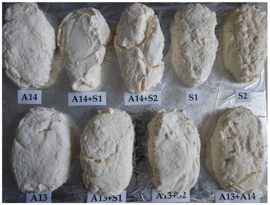 Applied Sciences | Free Full-Text | Usefulness of Potentially Probiotic