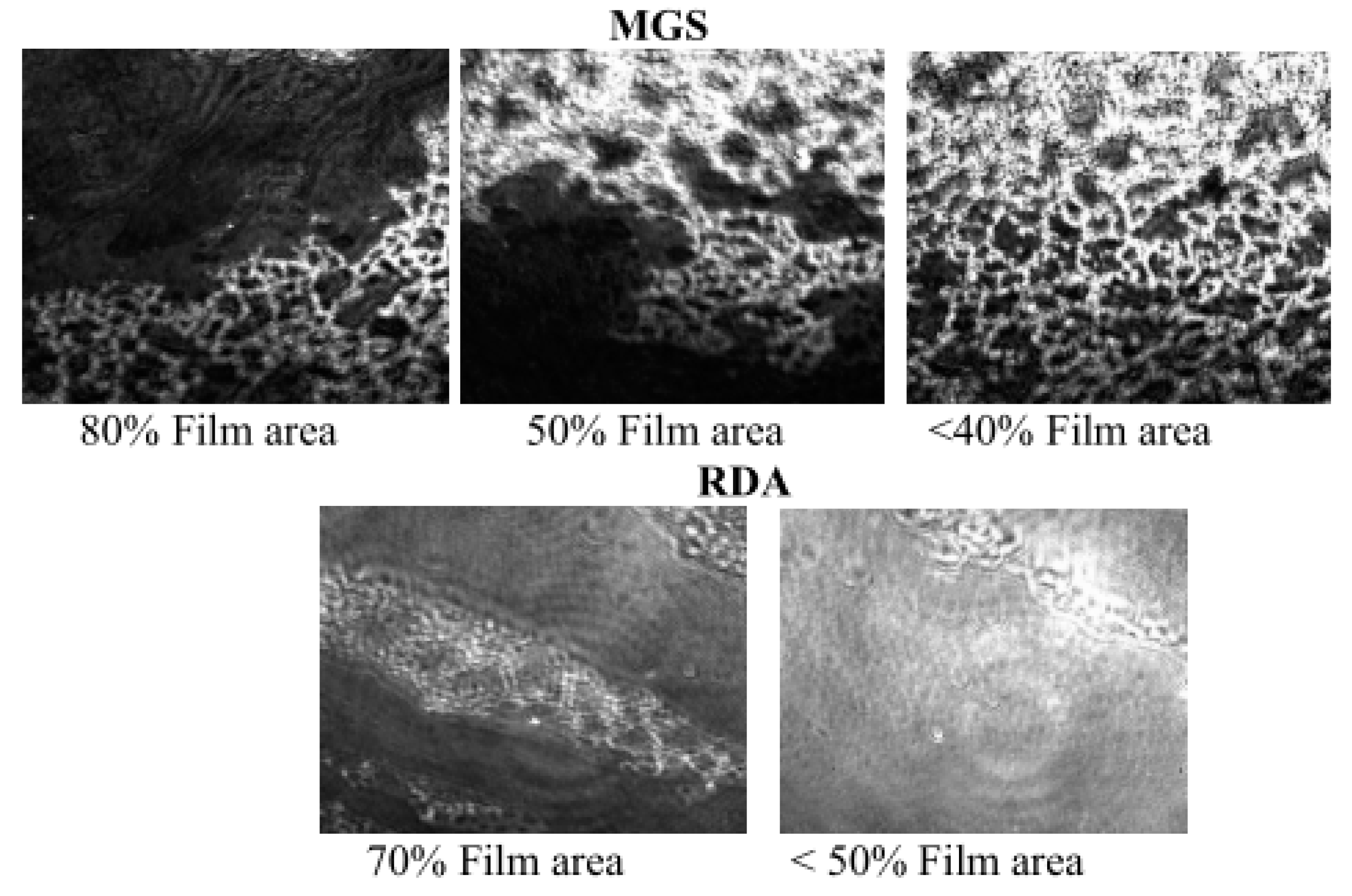 Applsci 12 12095 g002 Applsci 12 12095 g002