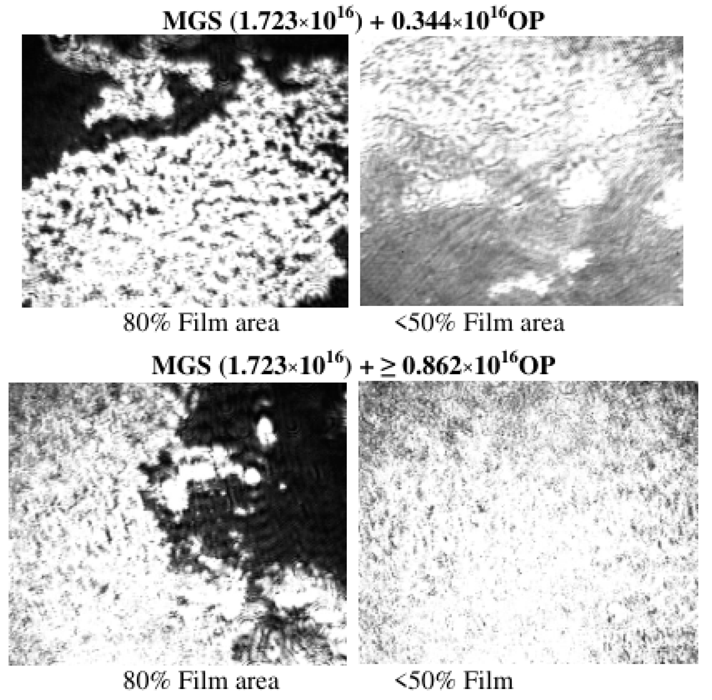 Applsci 12 12095 g005 Applsci 12 12095 g005