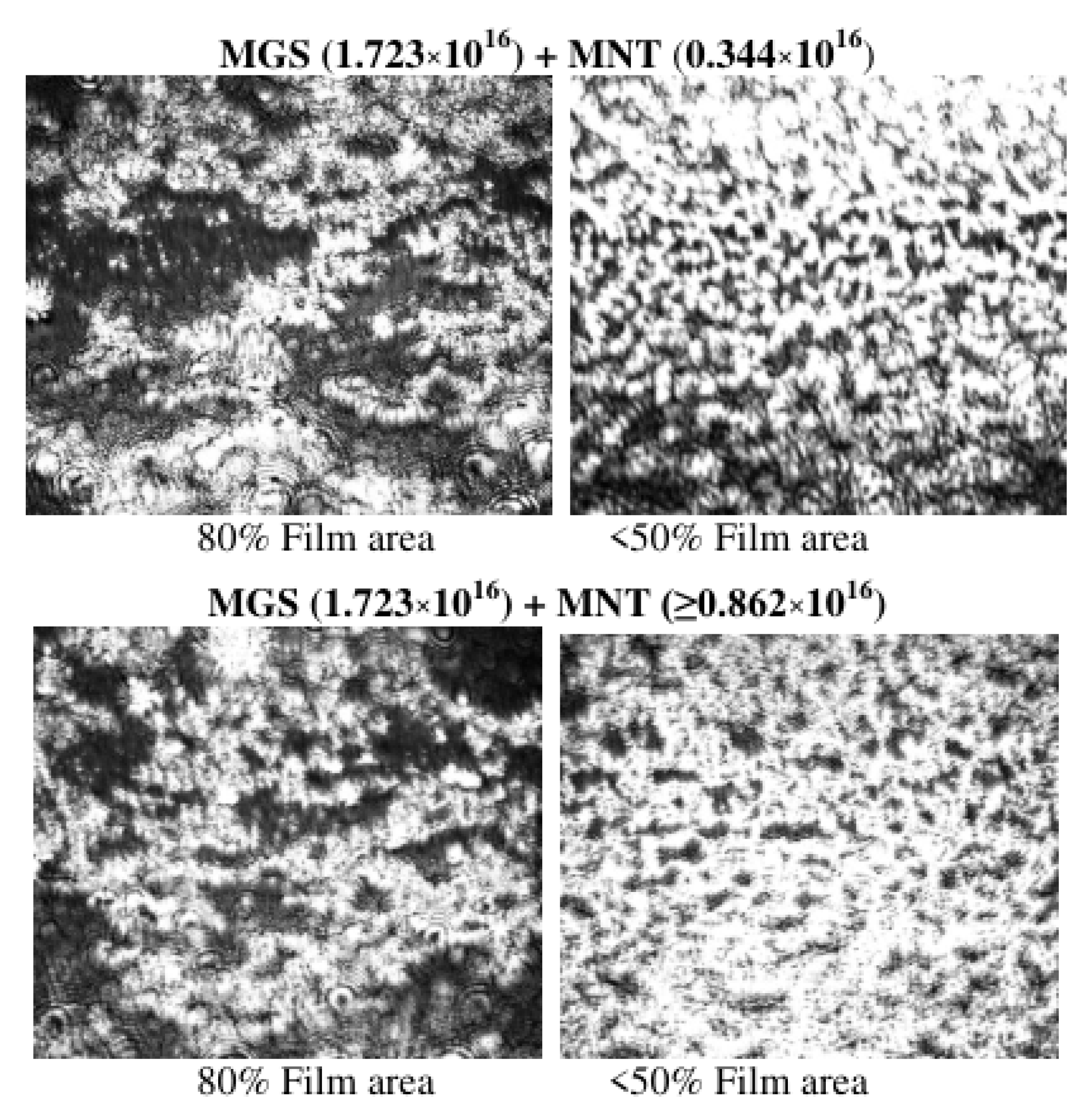 Applsci 12 12095 g009 Applsci 12 12095 g009