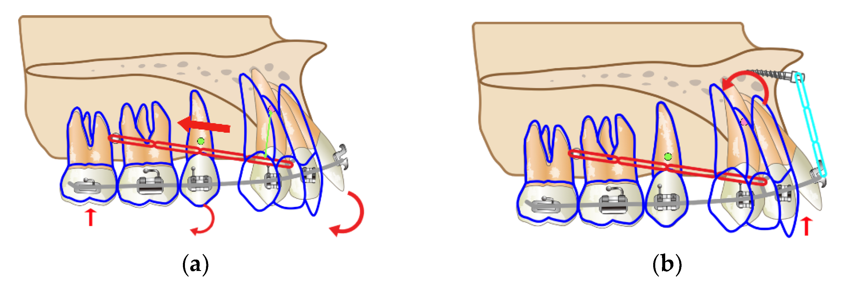 Applsci 12 12098 g003a Applsci 12 12098 g003a