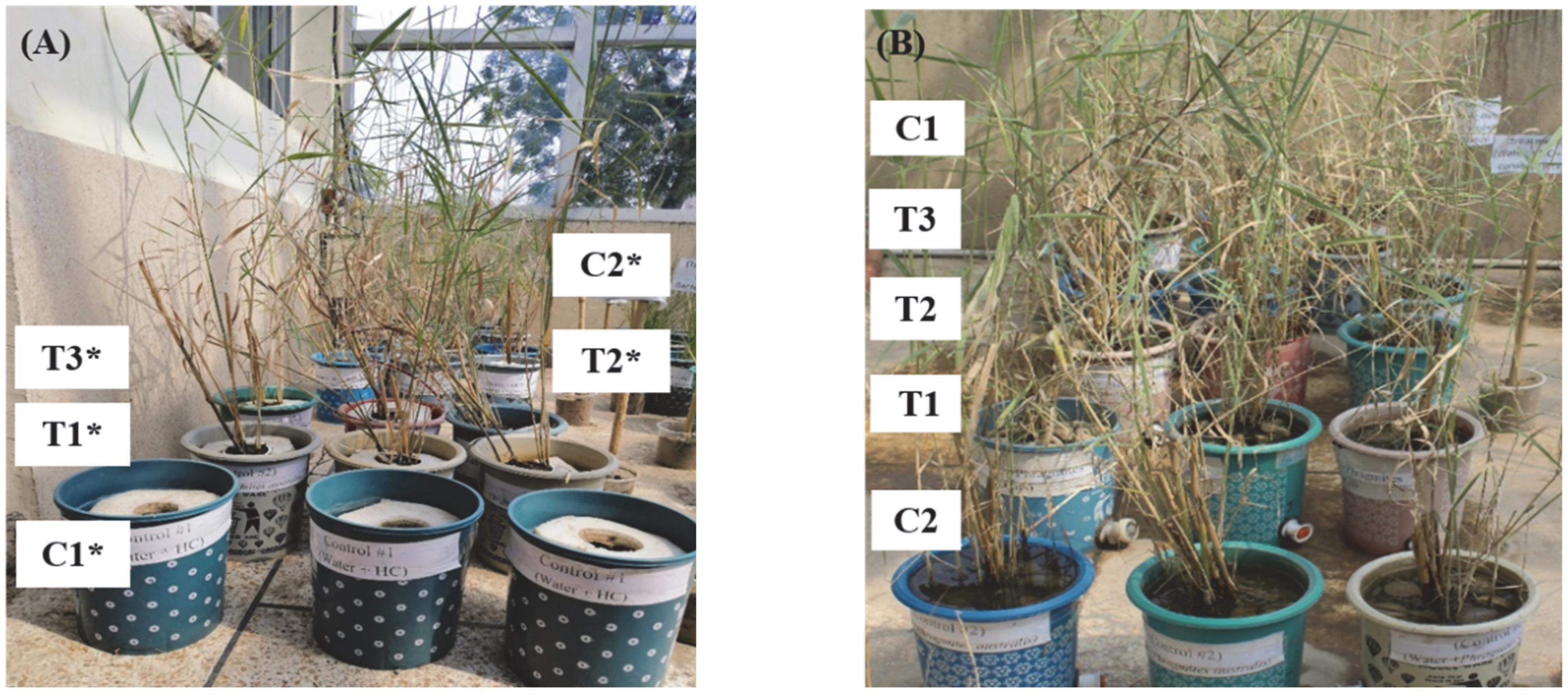 Applsci 12 12122 g002