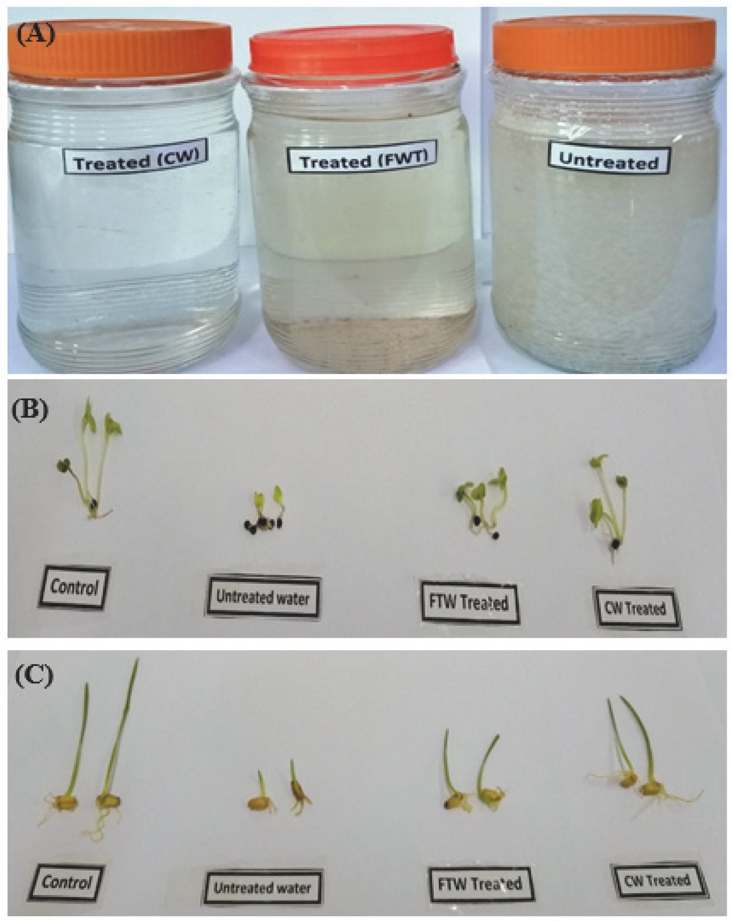 Applsci 12 12122 g009