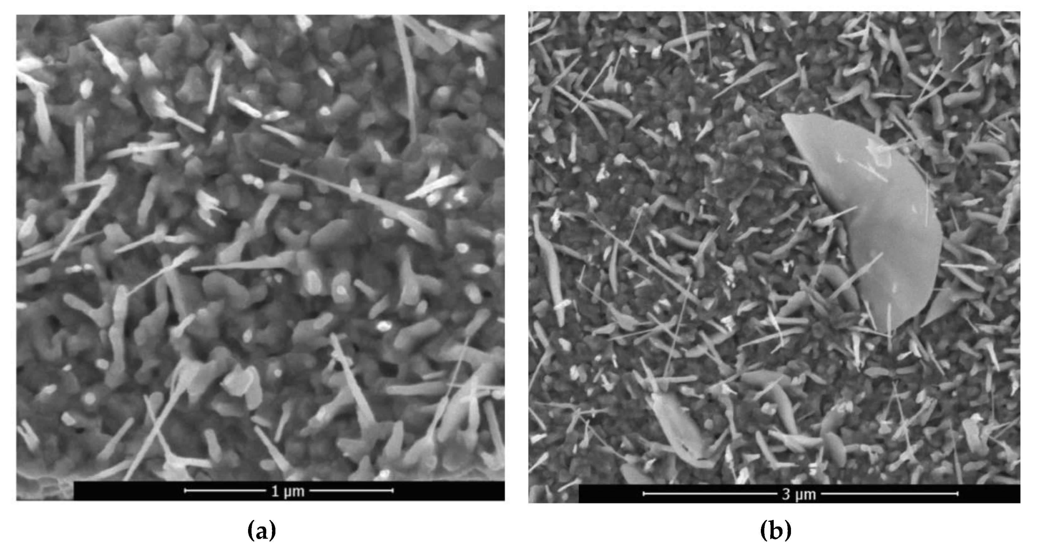 Applsci 12 12133 g011 Applsci 12 12133 g011