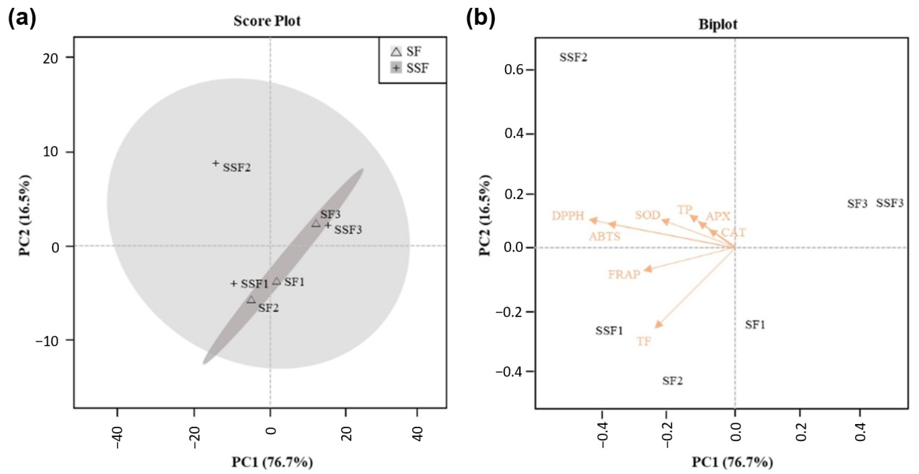Applsci 12 12161 g003
