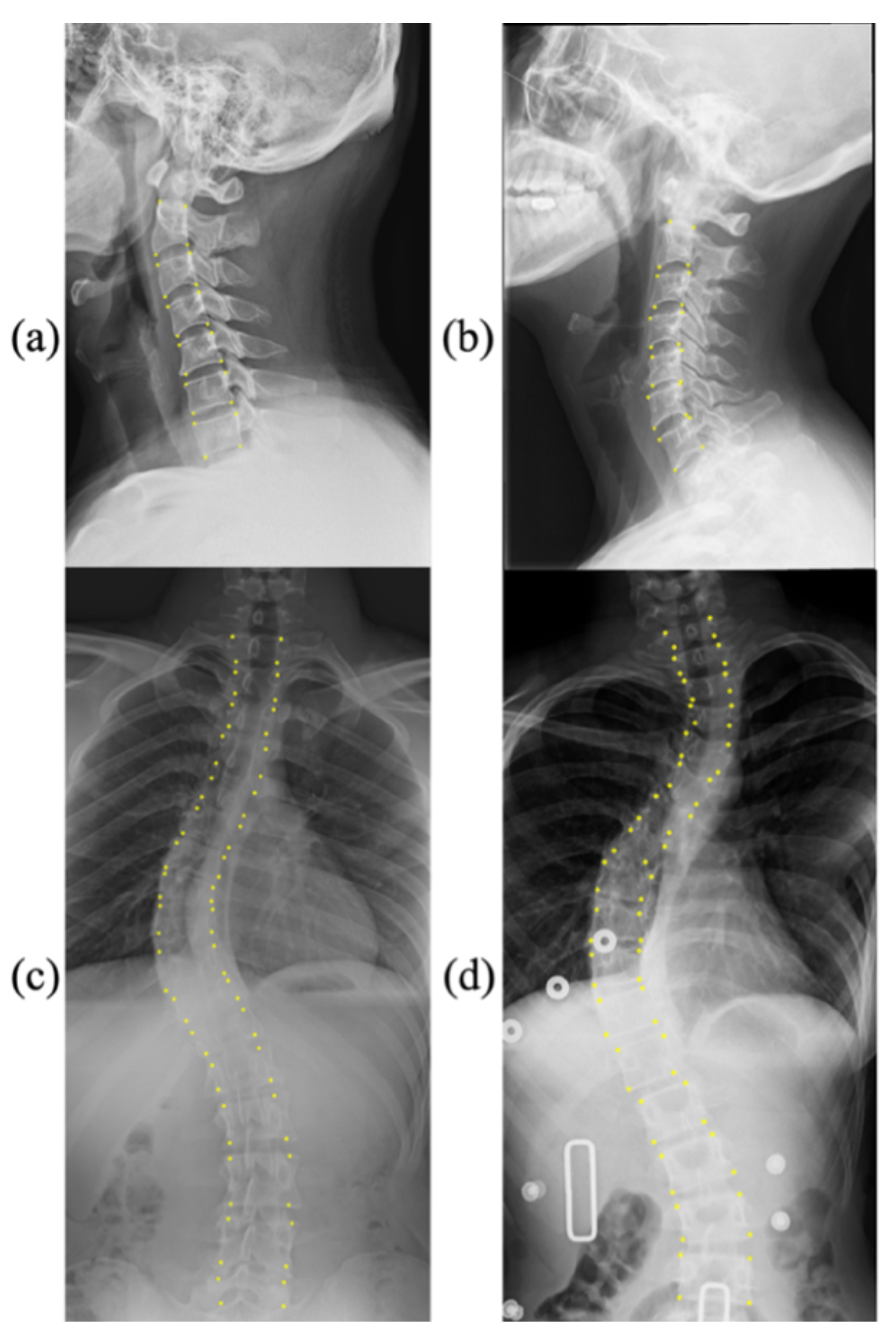 Applsci 12 12168 g001 550