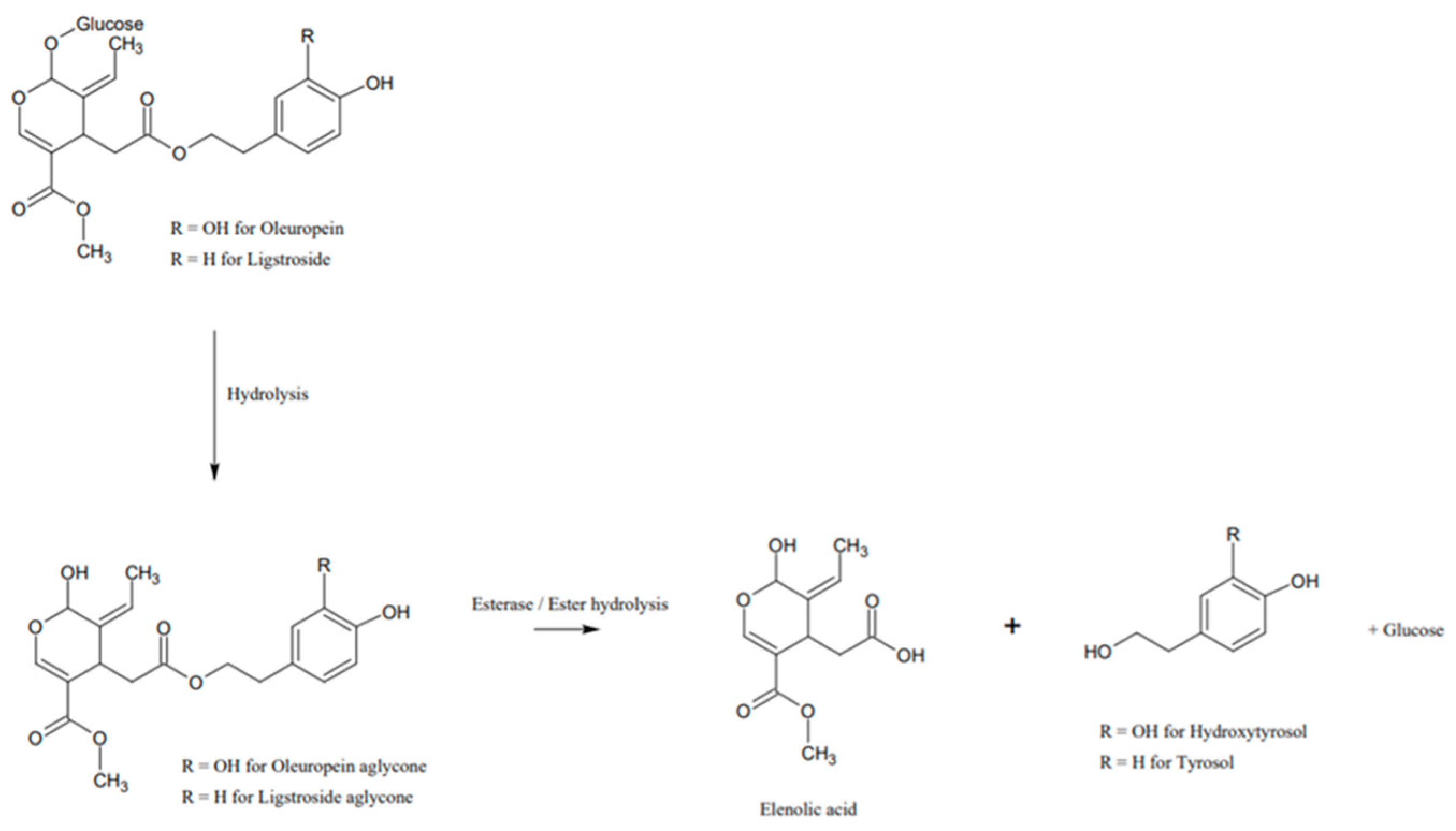 Applsci 12 12187 g013 Applsci 12 12187 g013
