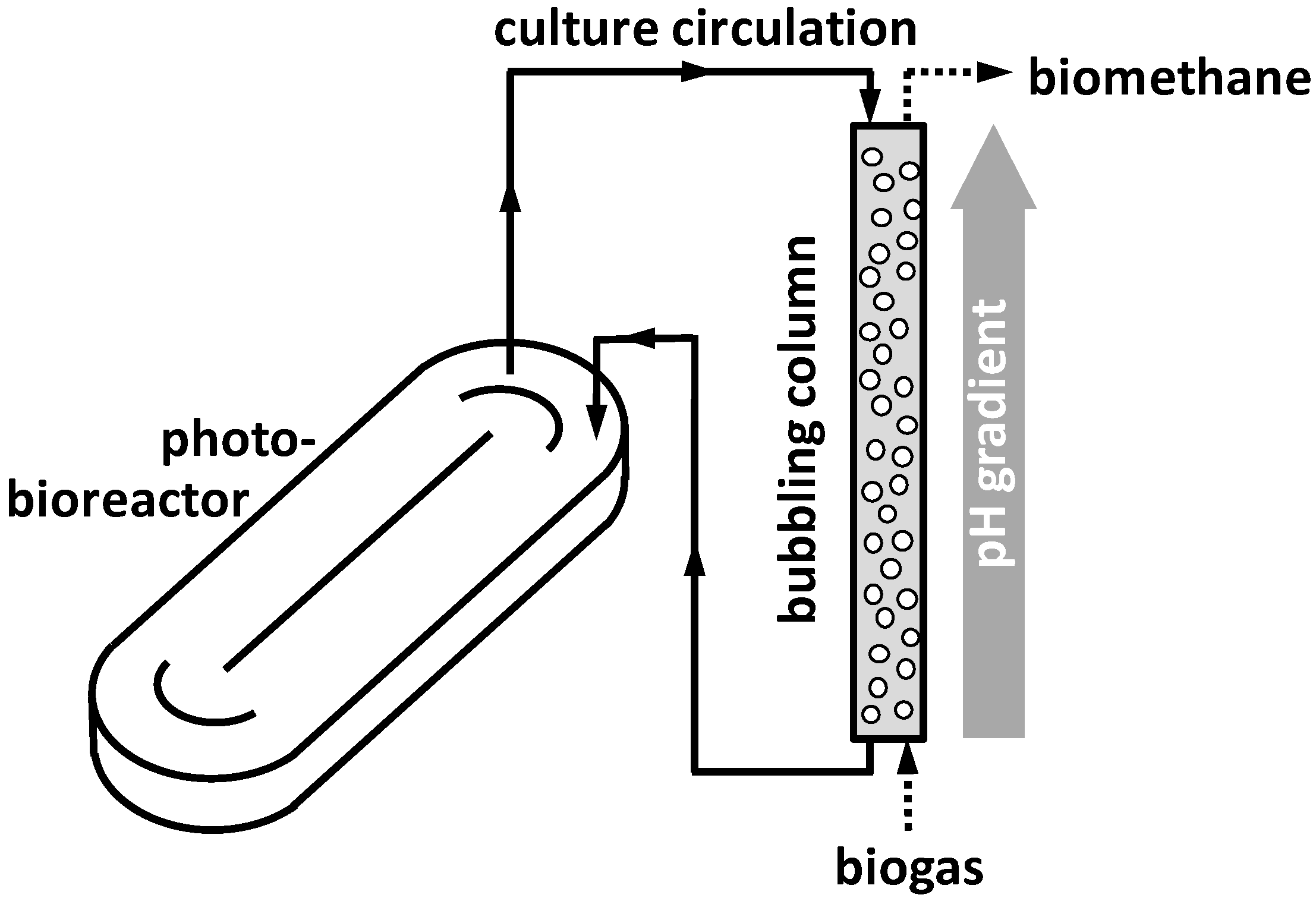 Applsci 12 12194 g001