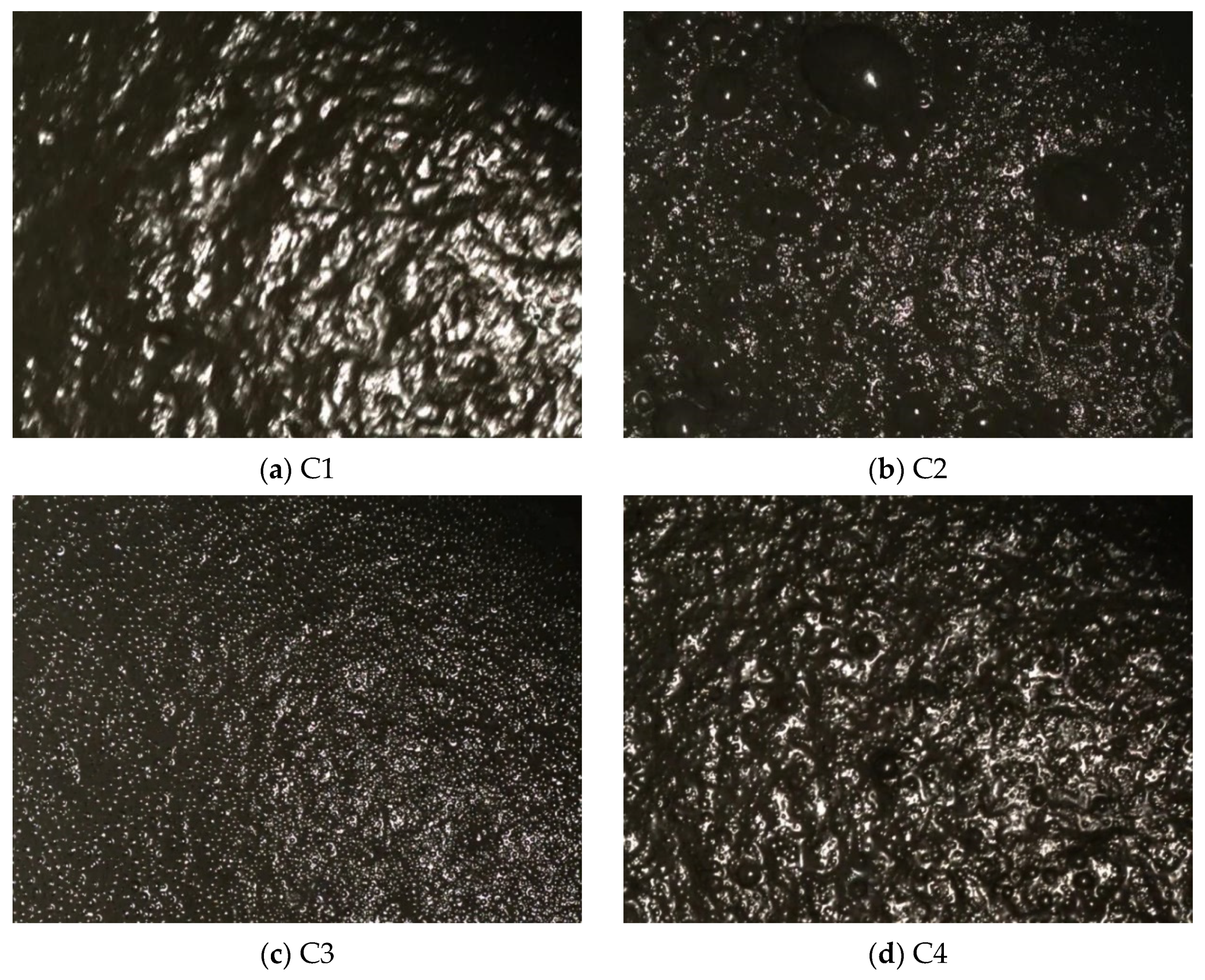 Applsci 12 12223 g012