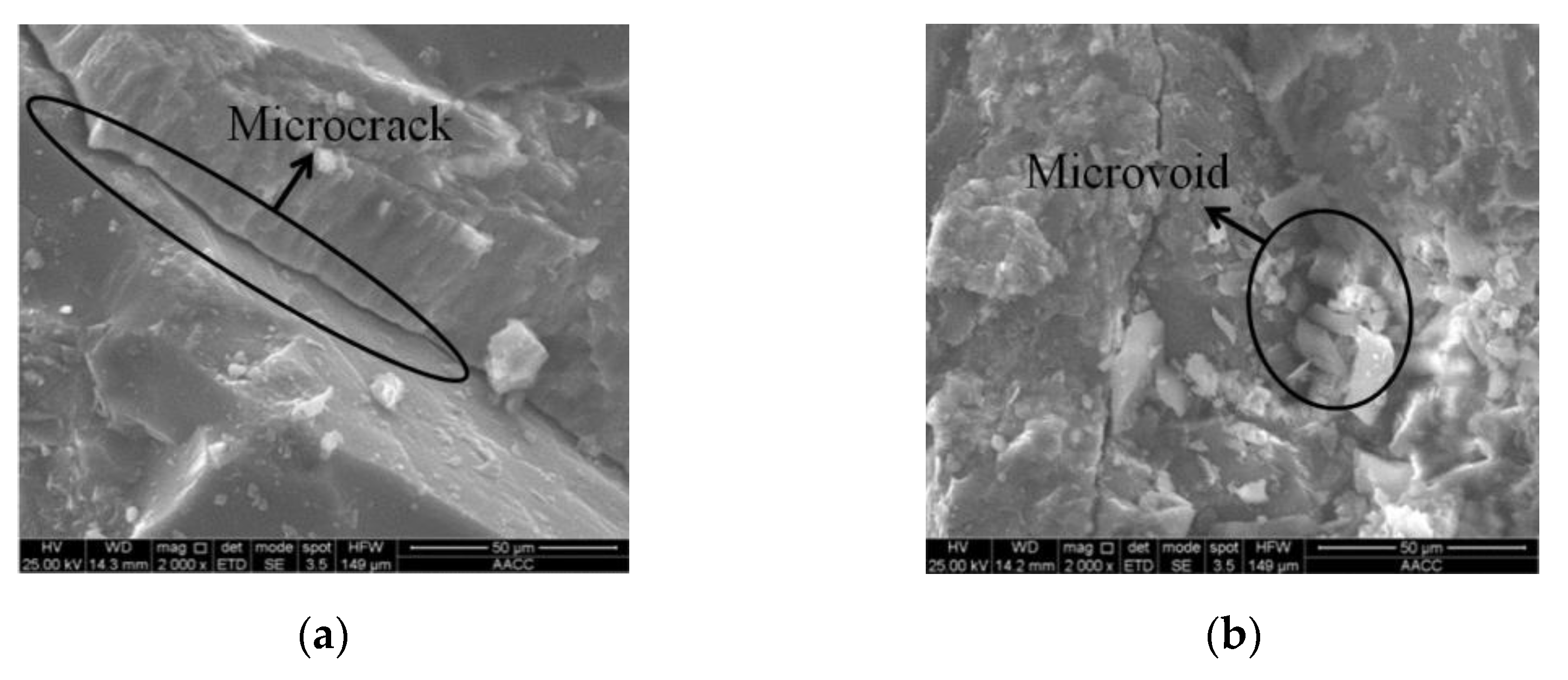 Applsci 12 12229 g001