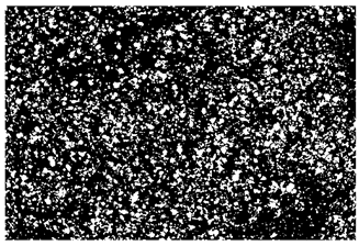 Applsci 12 12240 i003