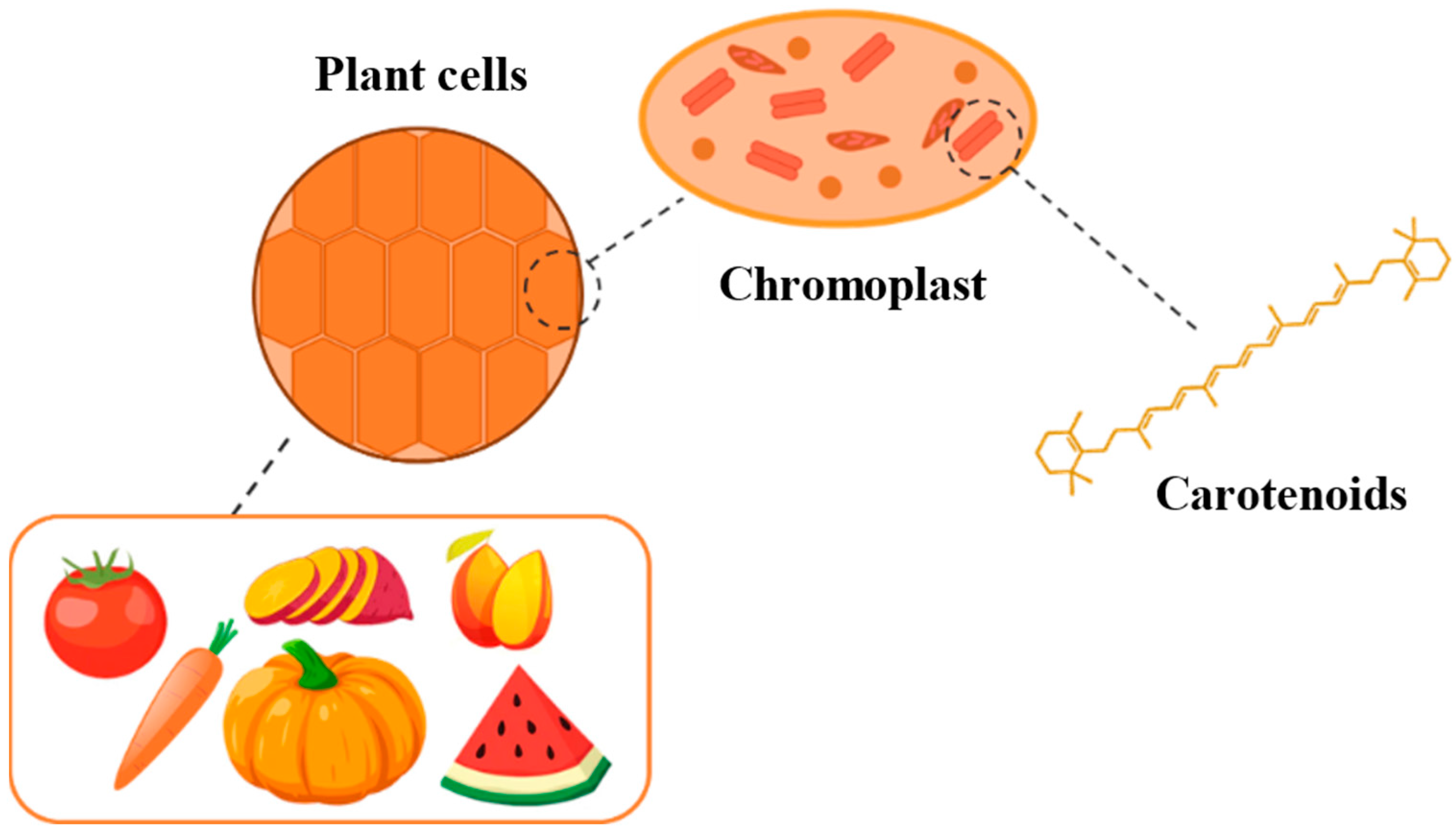 Applsci 12 12249 g001 Applsci 12 12249 g001