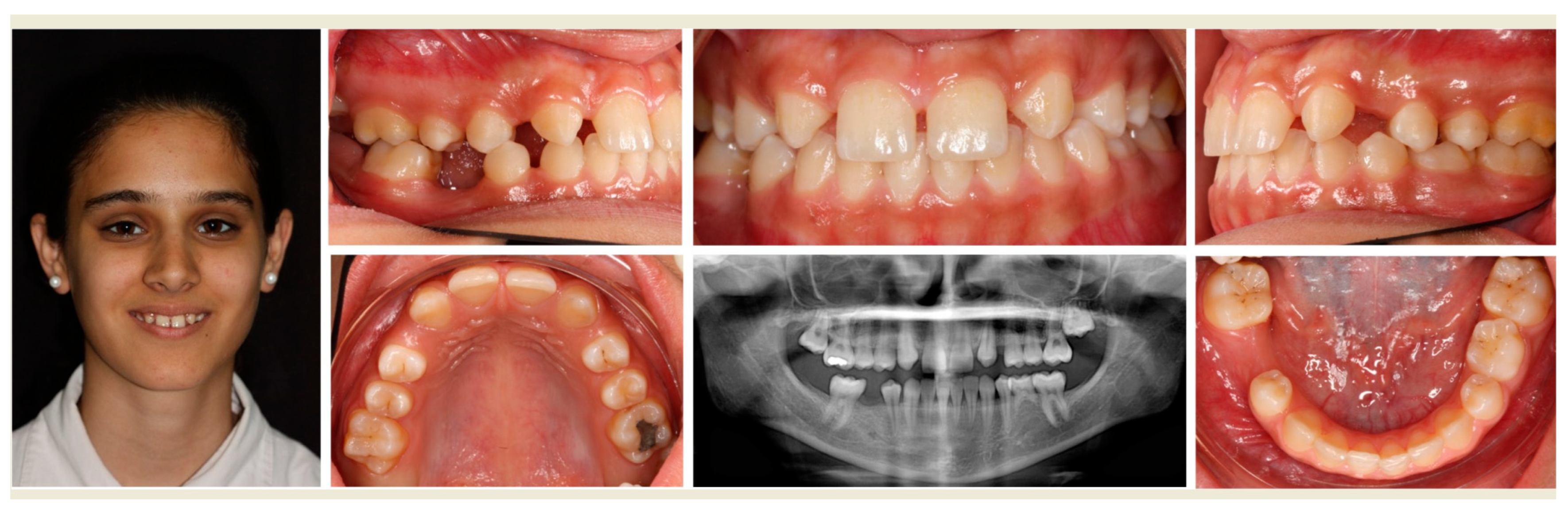 Applsci 12 12252 g001