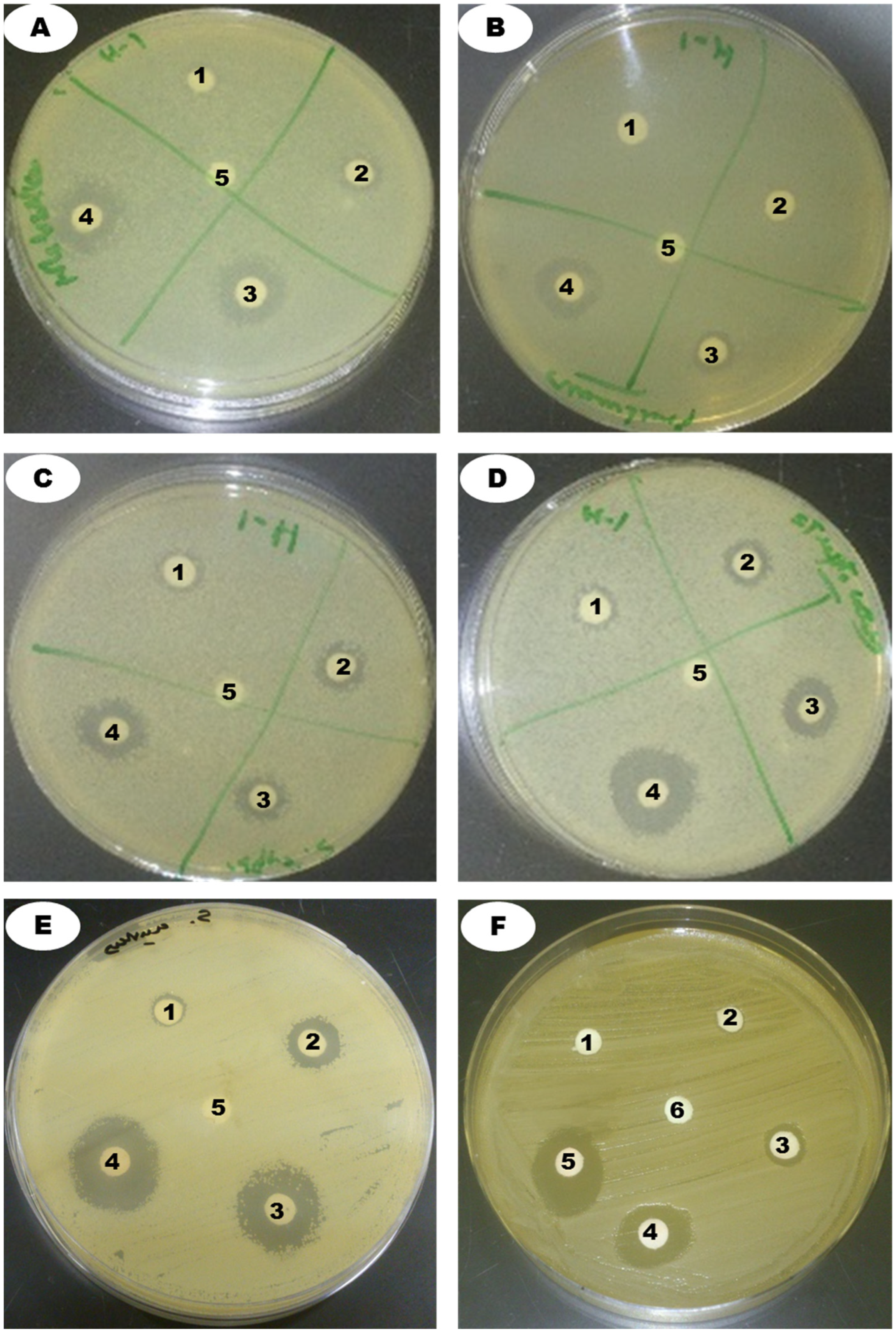 Applsci 12 12257 g006