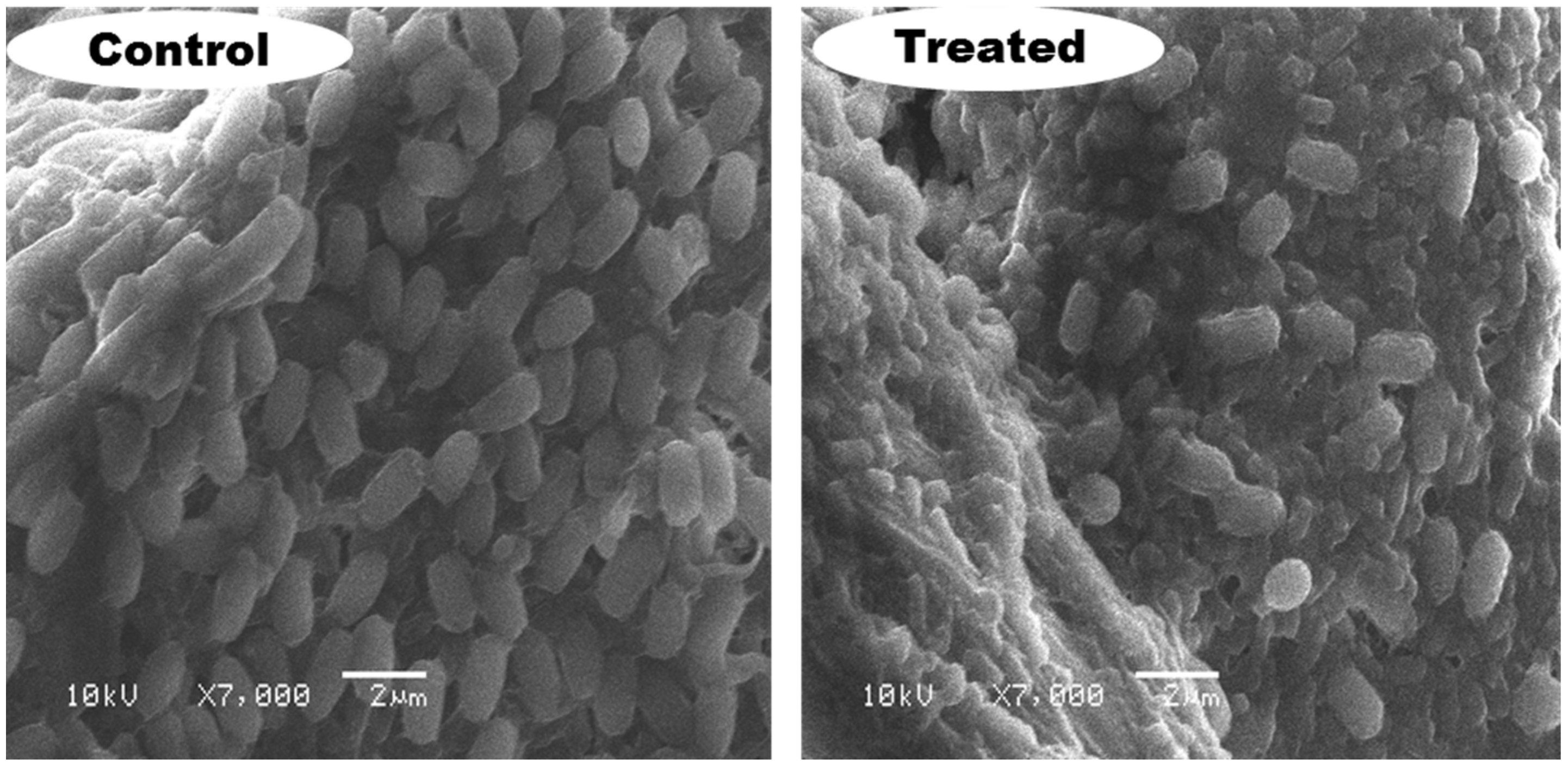 Applsci 12 12257 g007