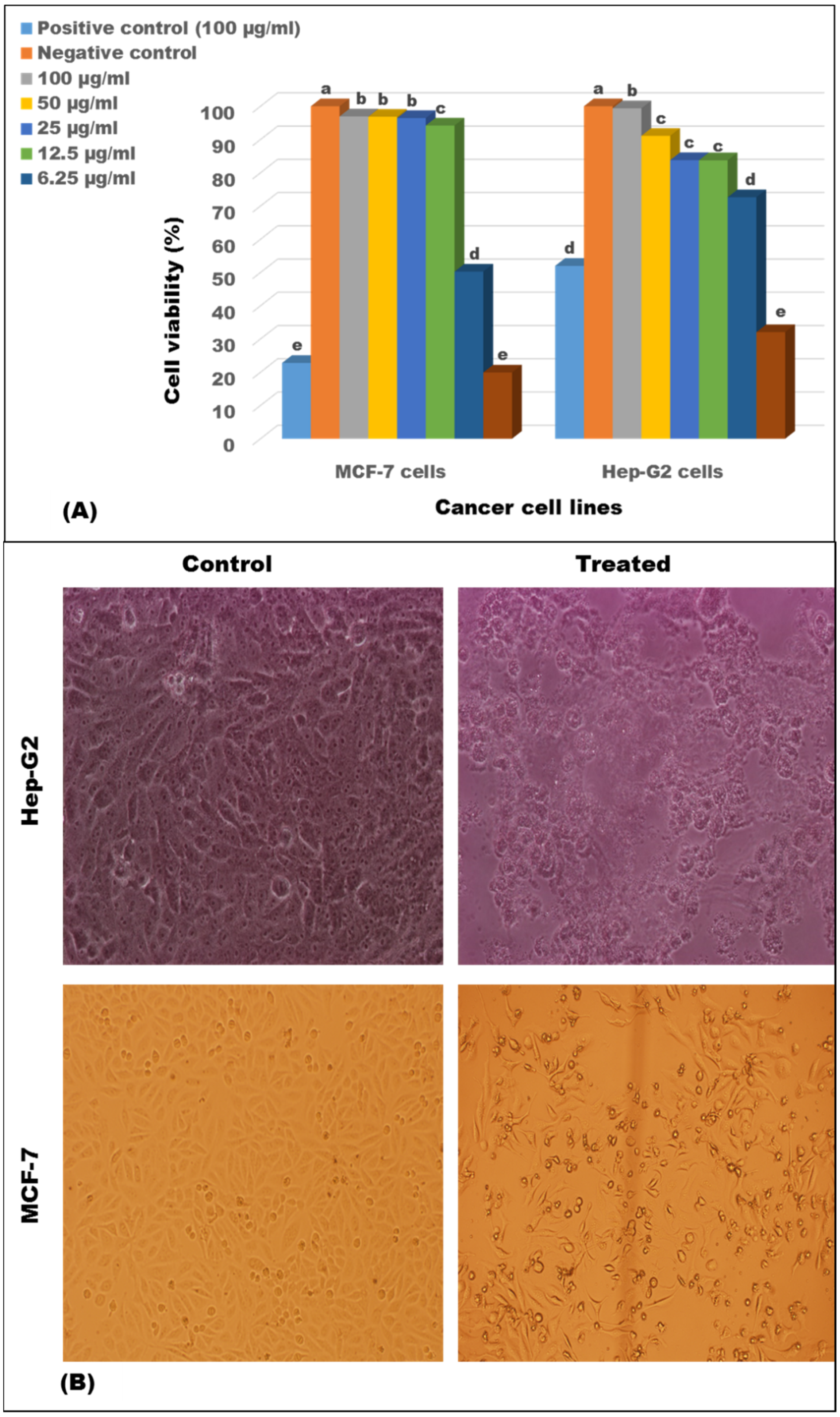 Applsci 12 12257 g008