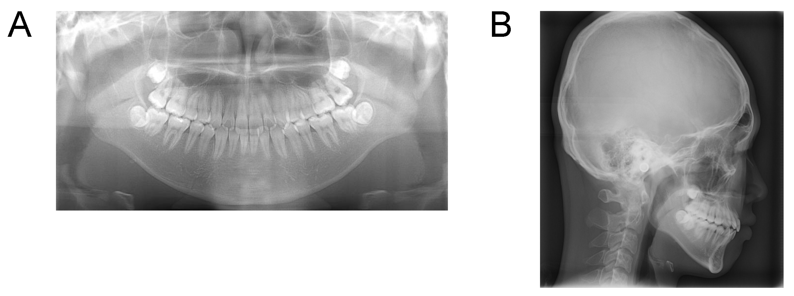Applsci 12 12268 g006