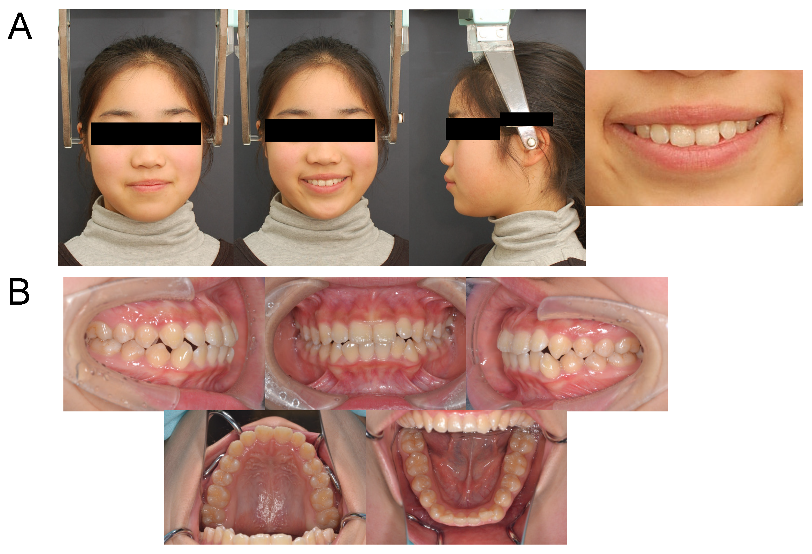 Applsci 12 12268 g015