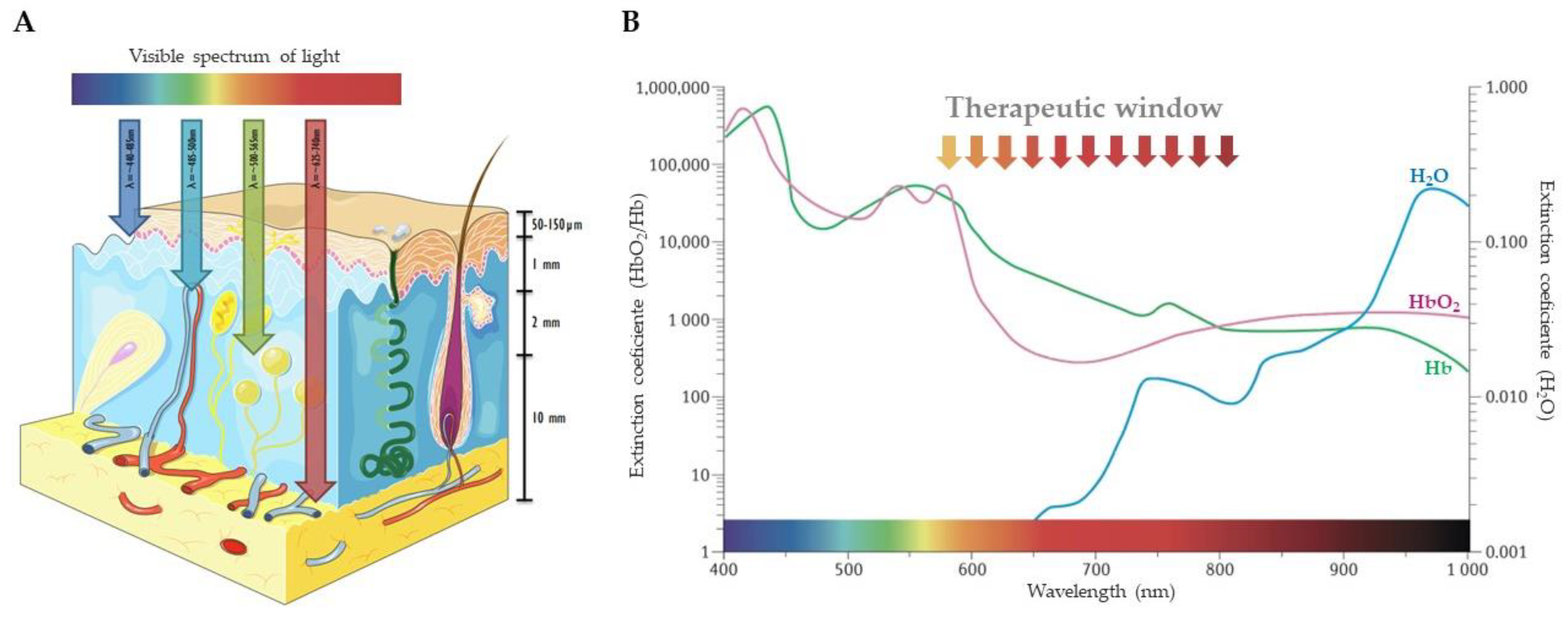 Applsci 12 12276 g002