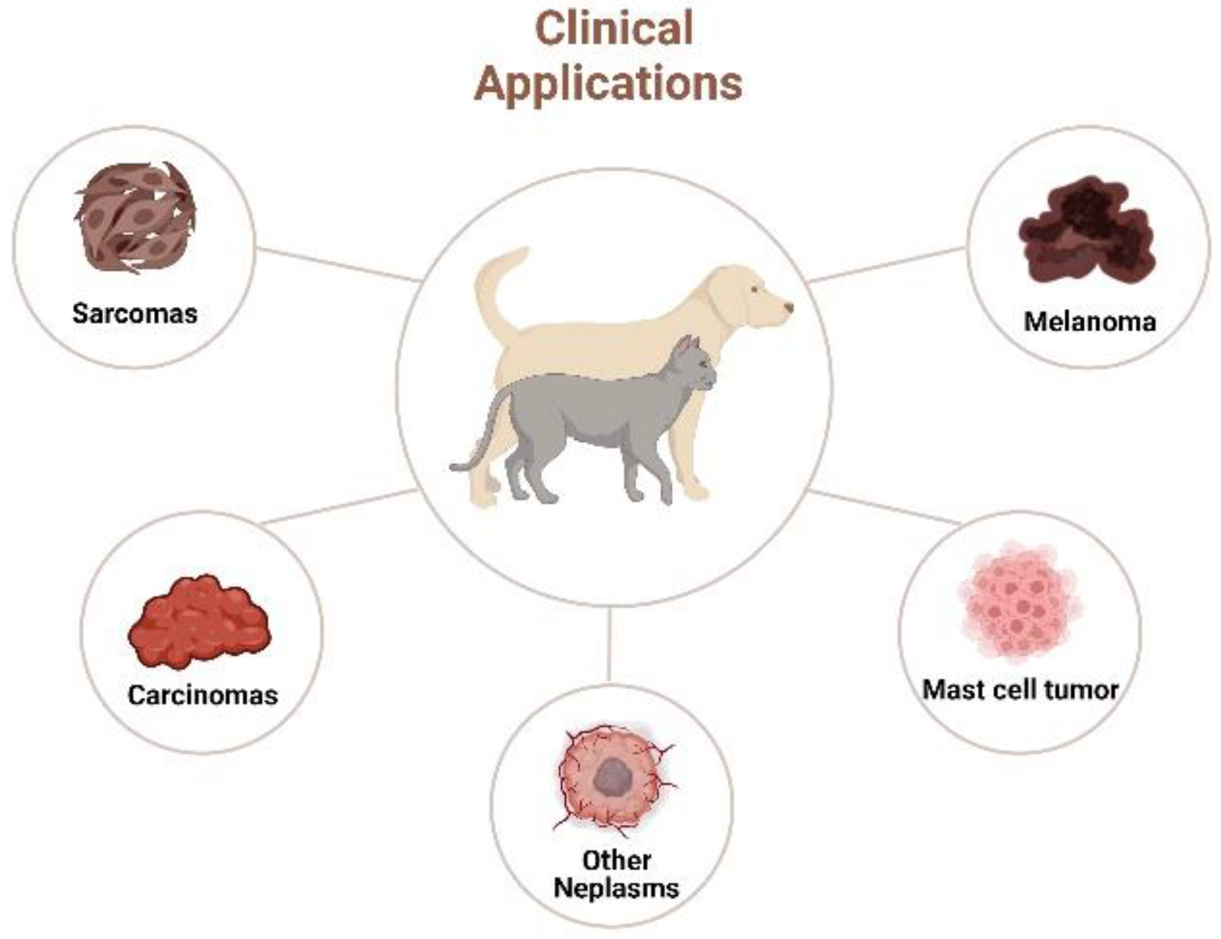 basal cell tumor dog