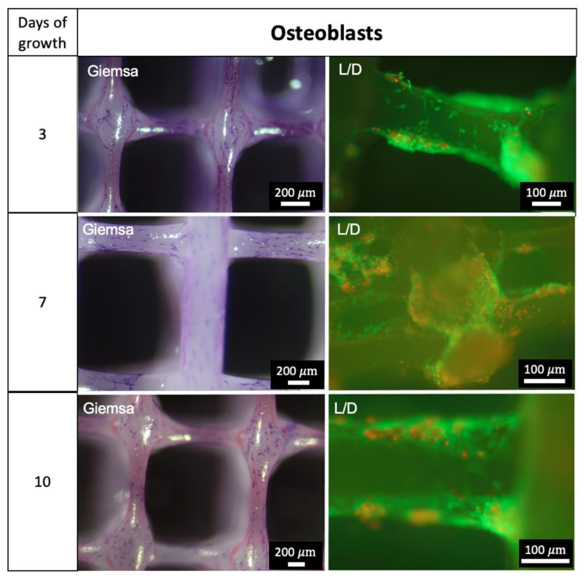 Applsci 12 12280 g009