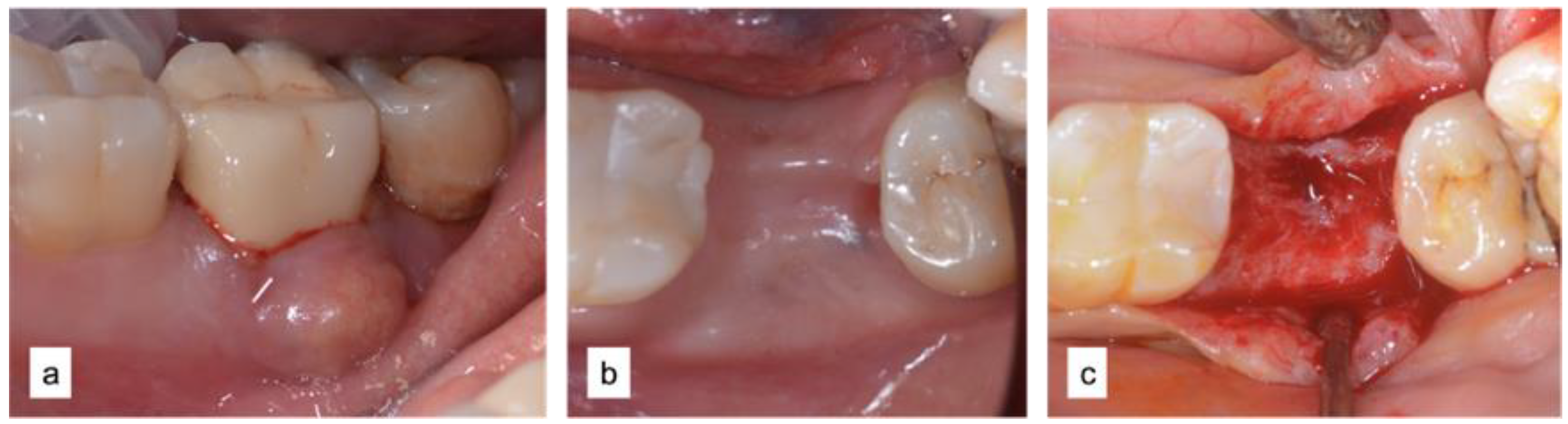 Applsci 12 12292 g002