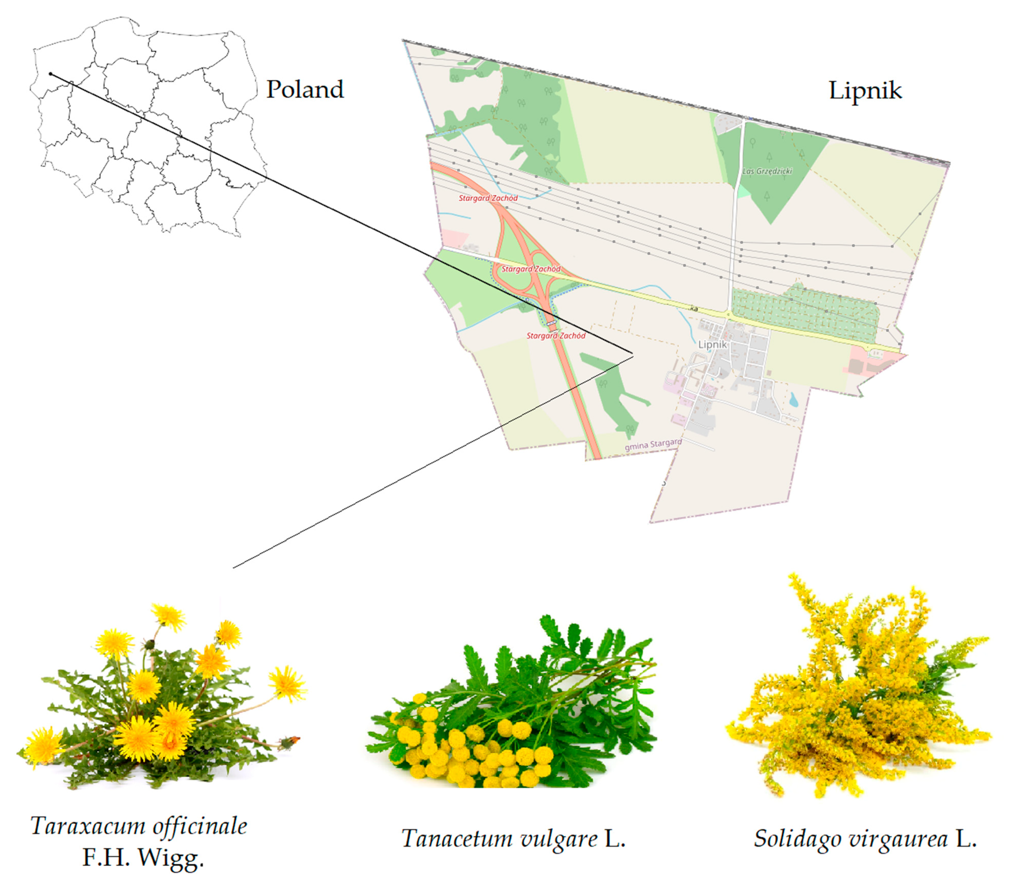 Applsci 12 12293 g001 Applsci 12 12293 g001