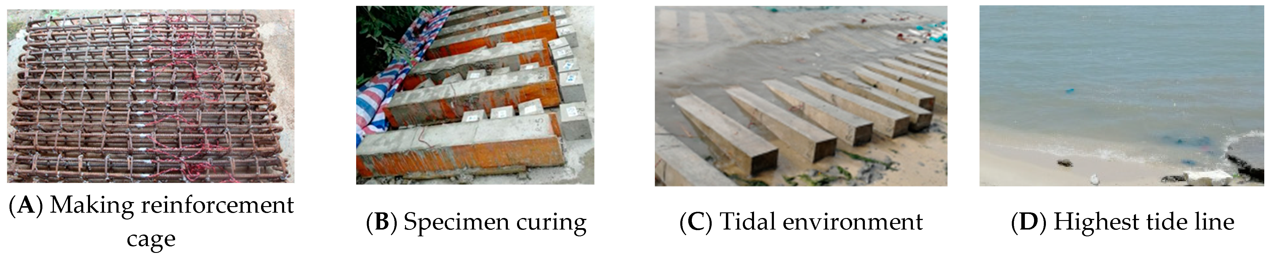 Applsci 12 12321 g002 Applsci 12 12321 g002