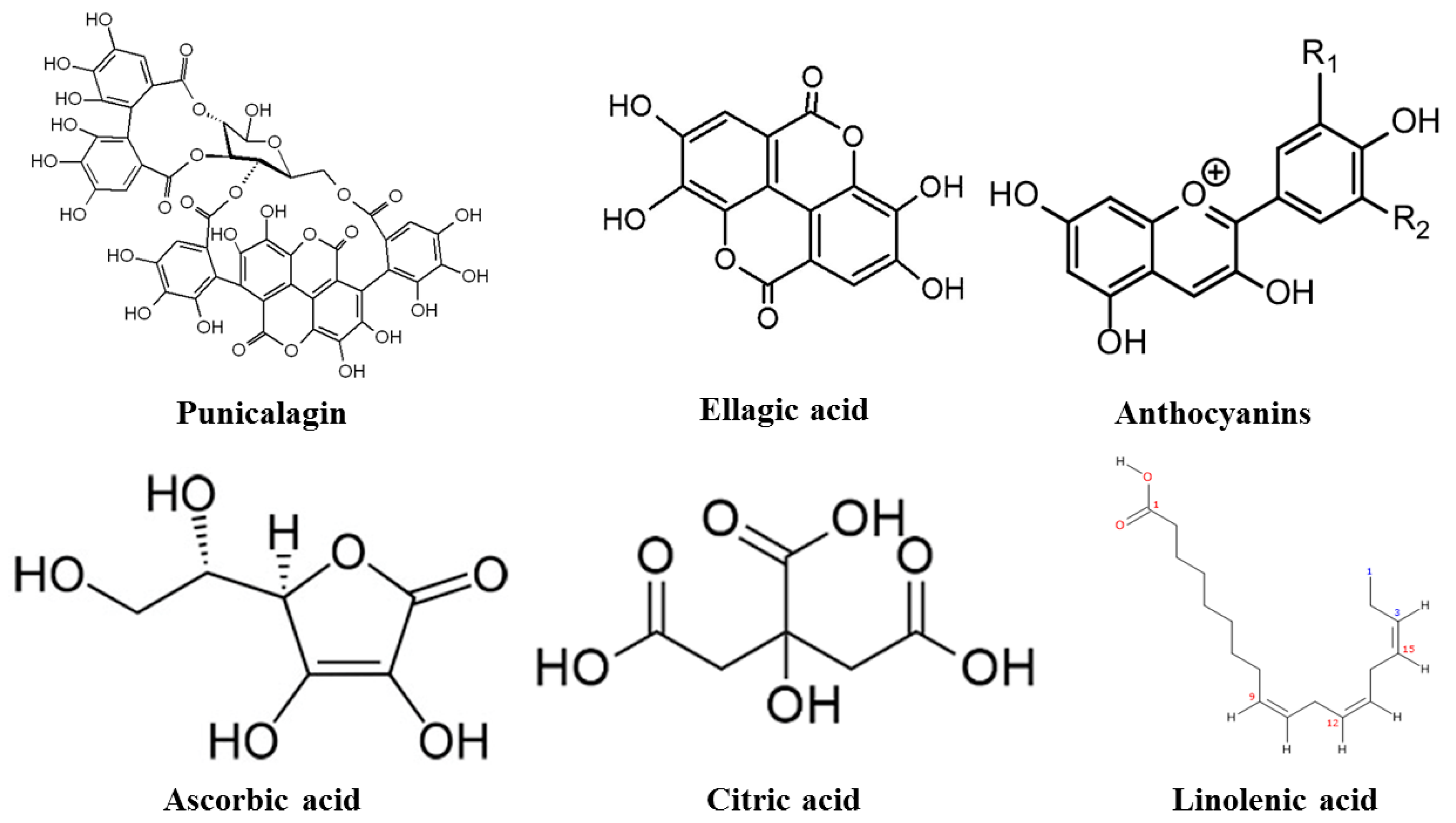 Applsci 12 12326 g002