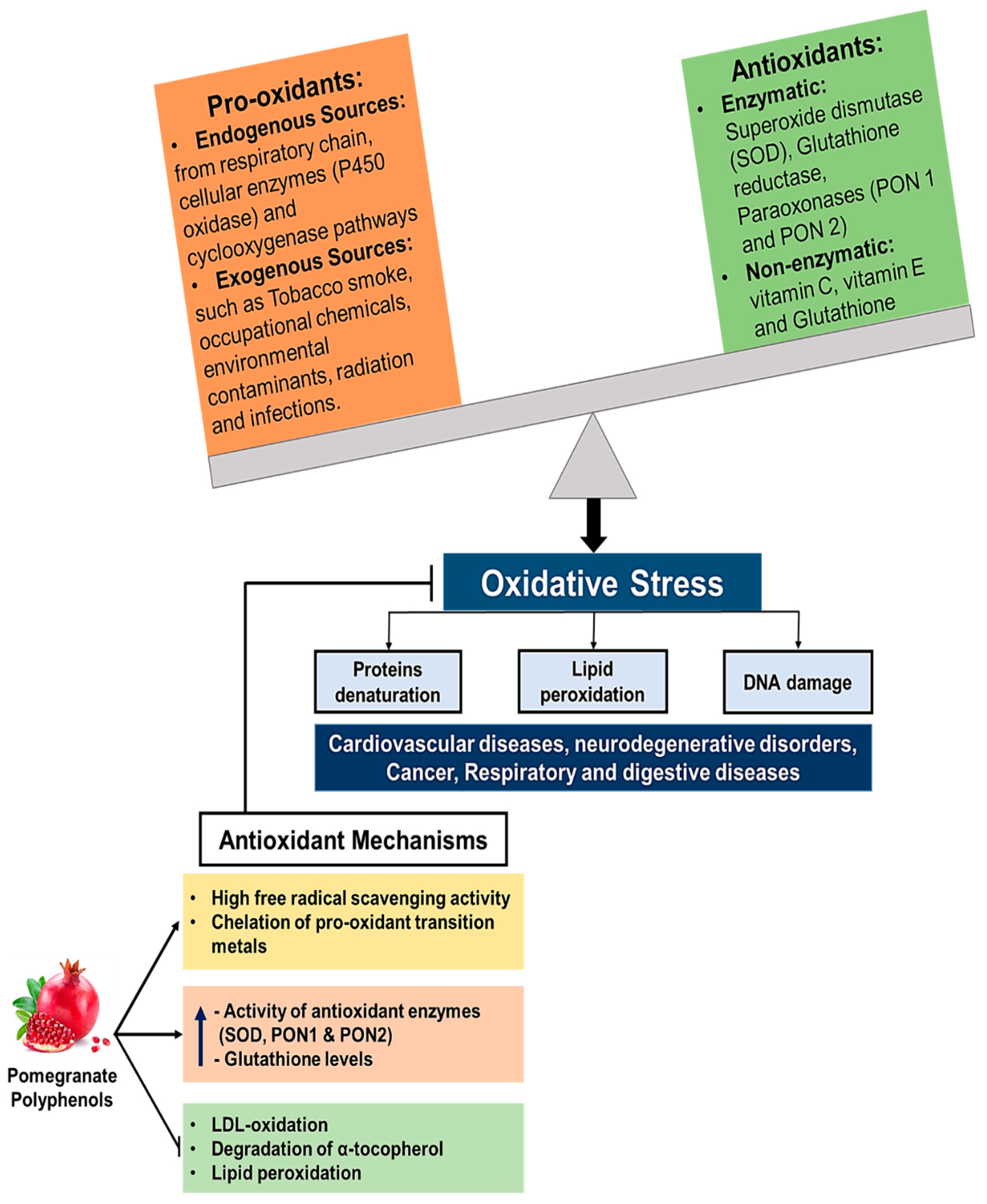 Applsci 12 12326 g003