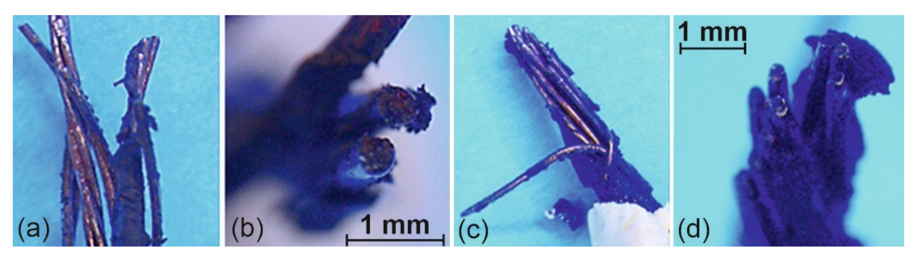 Applsci 12 12333 g014 Applsci 12 12333 g014