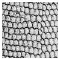 Applsci 12 12346 i003