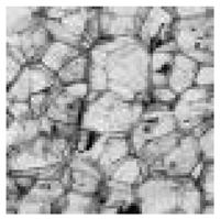 Applsci 12 12346 i005