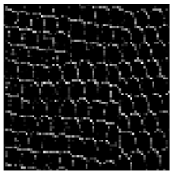 Applsci 12 12346 i008