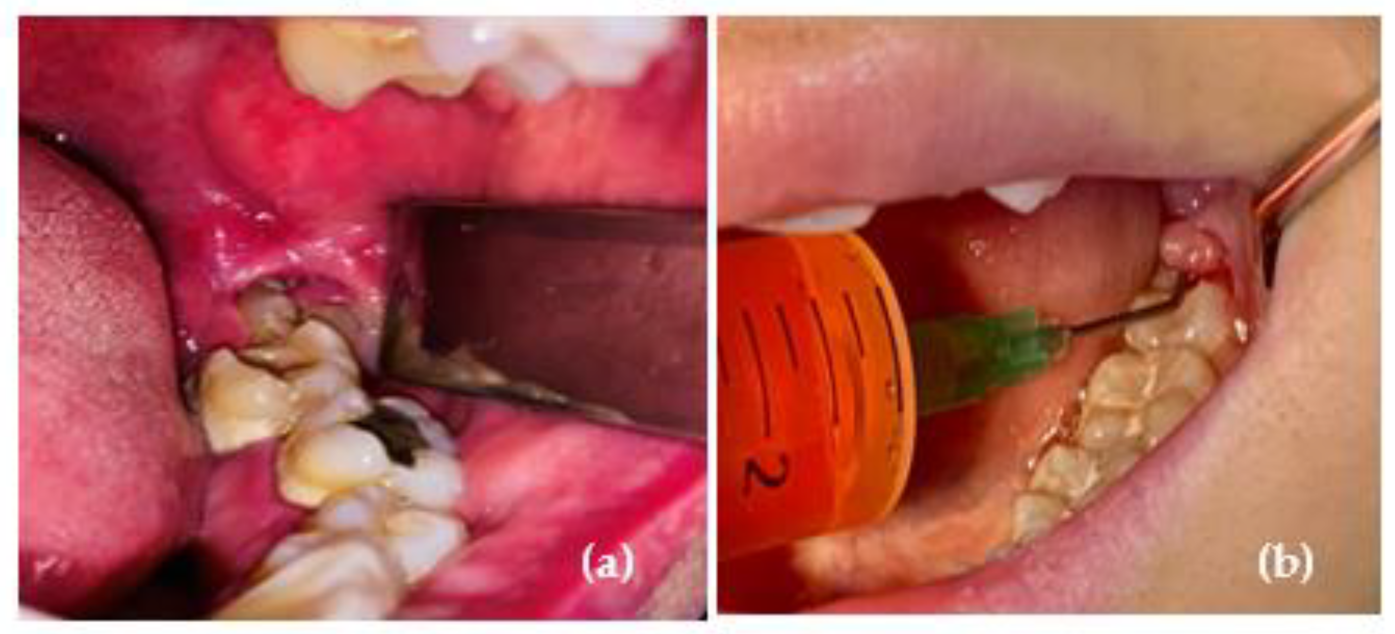 Applsci 12 12351 g001