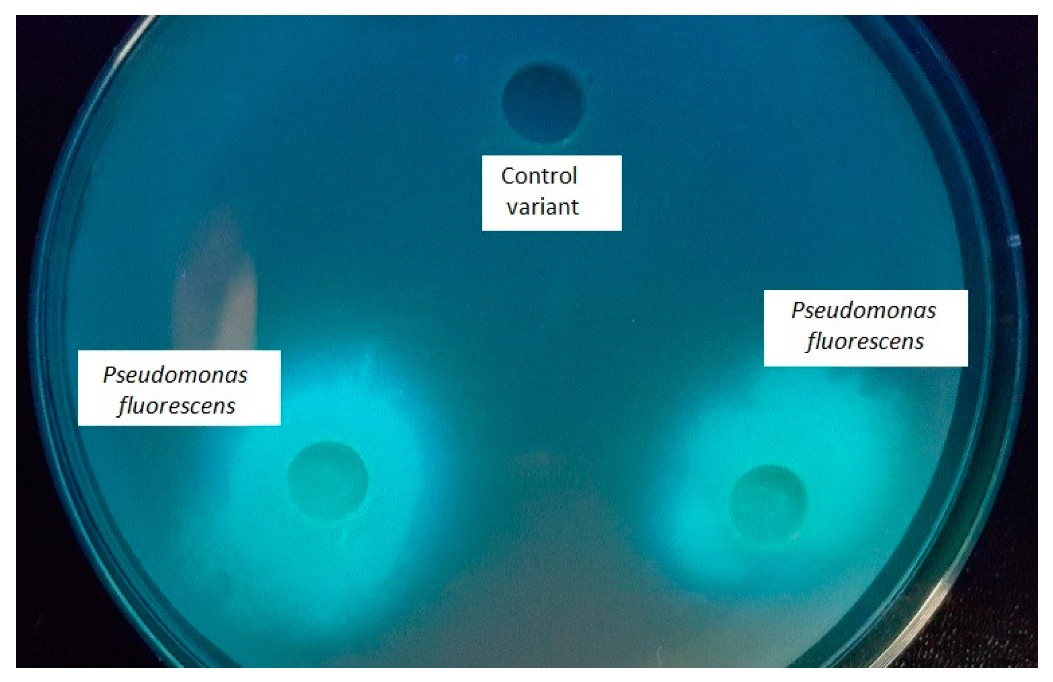 Applsci 12 12382 g001