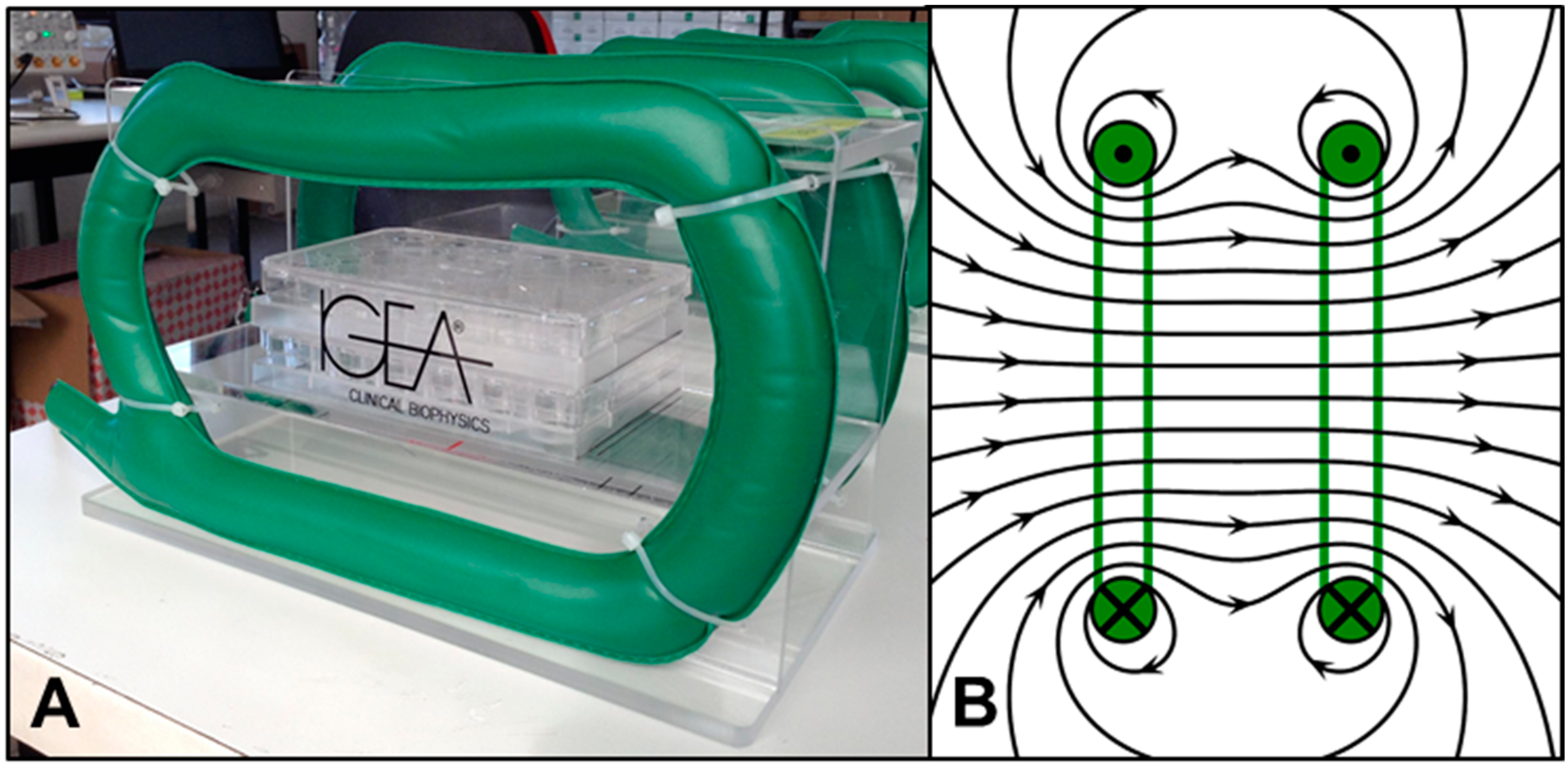 Magnetic pulse