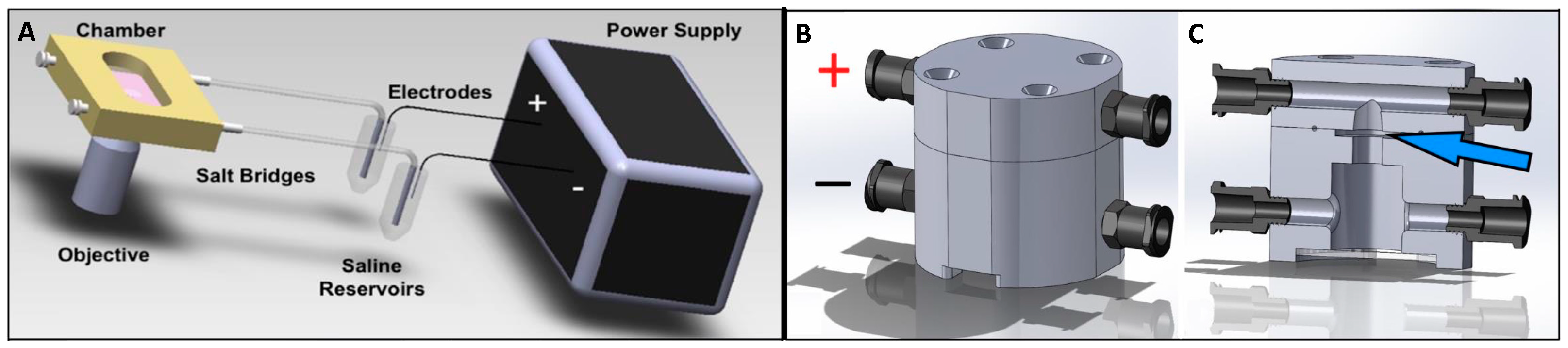 Applsci 12 12406 g002 Applsci 12 12406 g002