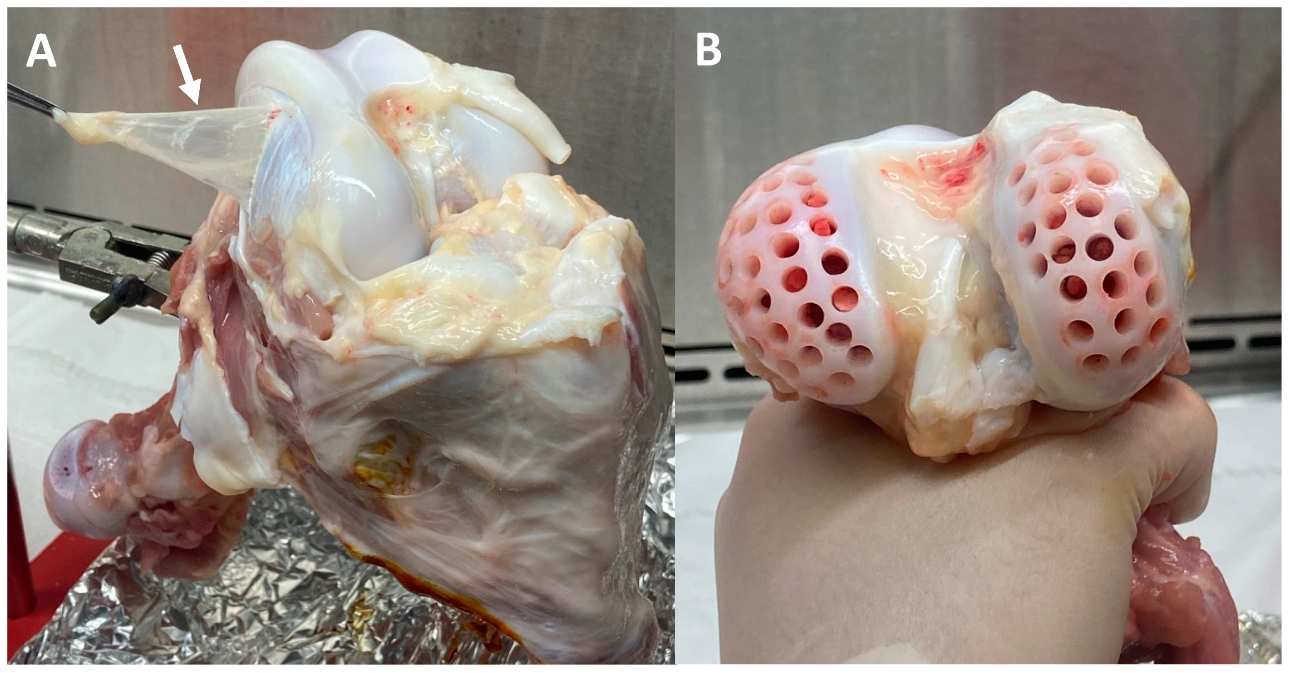 Applsci 12 12406 g003 Applsci 12 12406 g003
