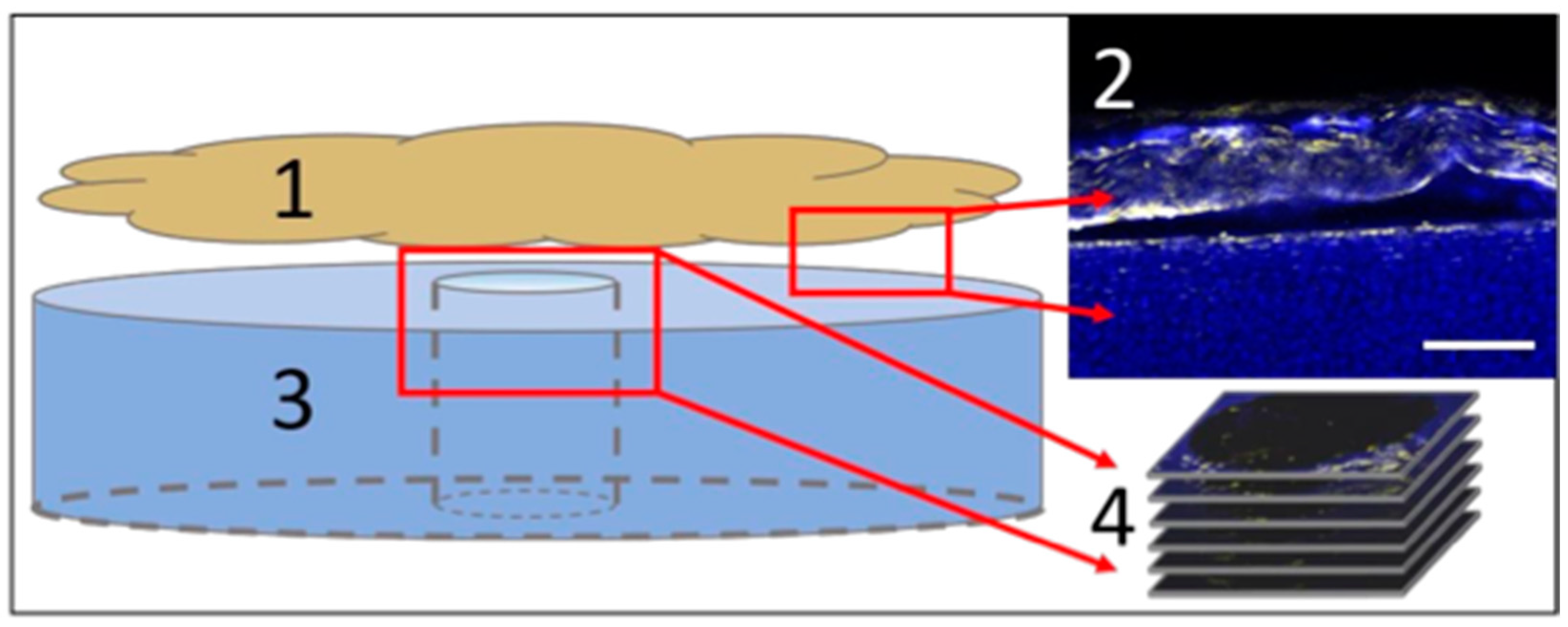 Applsci 12 12406 g004 Applsci 12 12406 g004